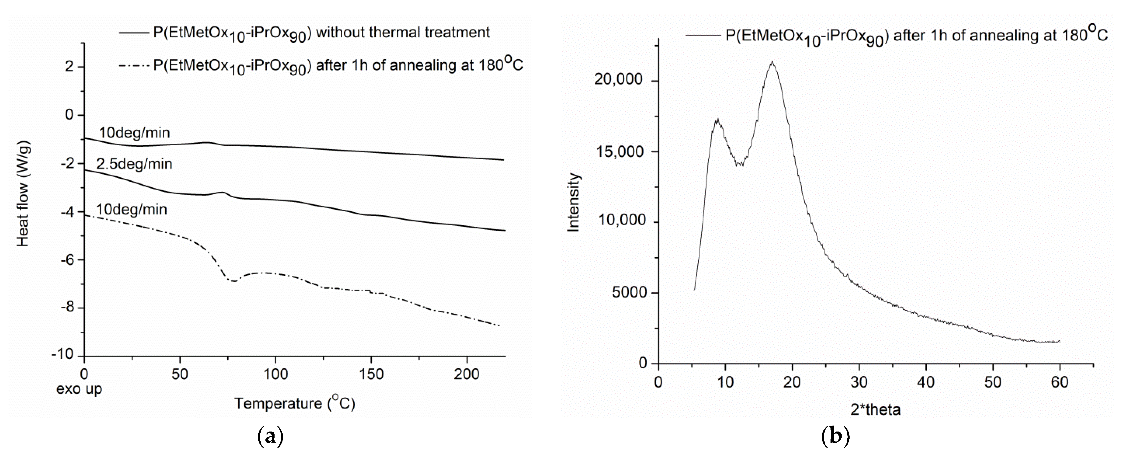 Ijms 22 02221 g004 Ijms 22 02221 g004