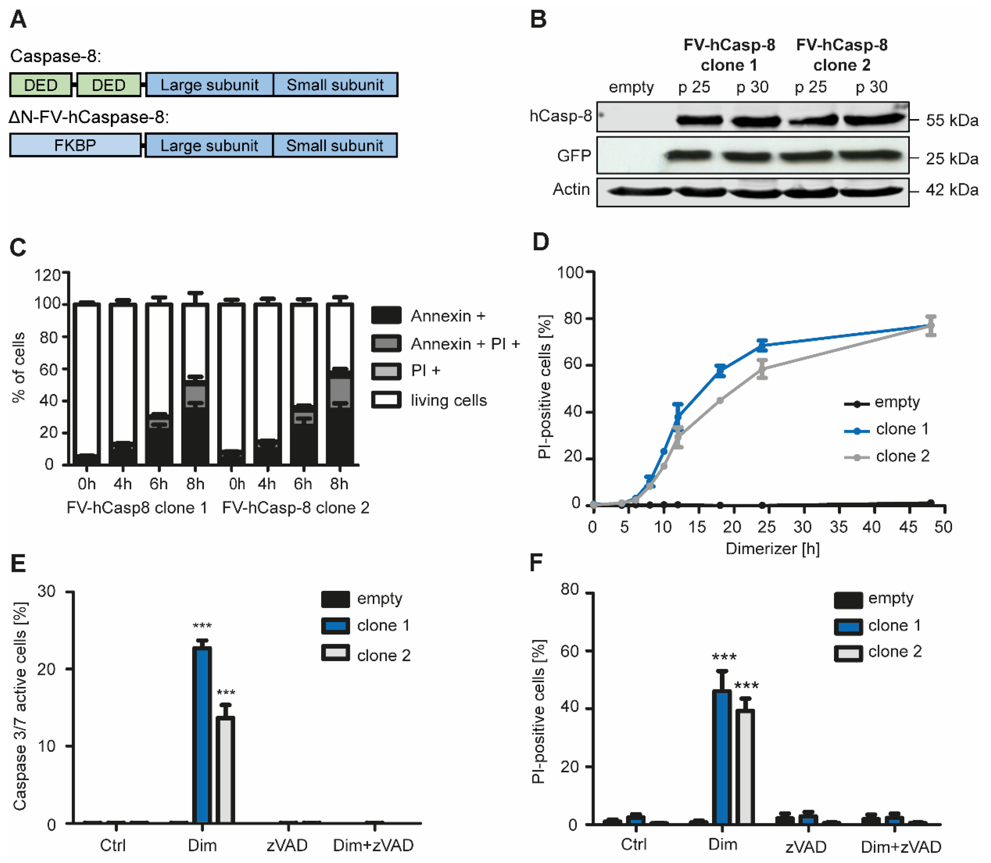 Ijms 22 02230 g001 Ijms 22 02230 g001