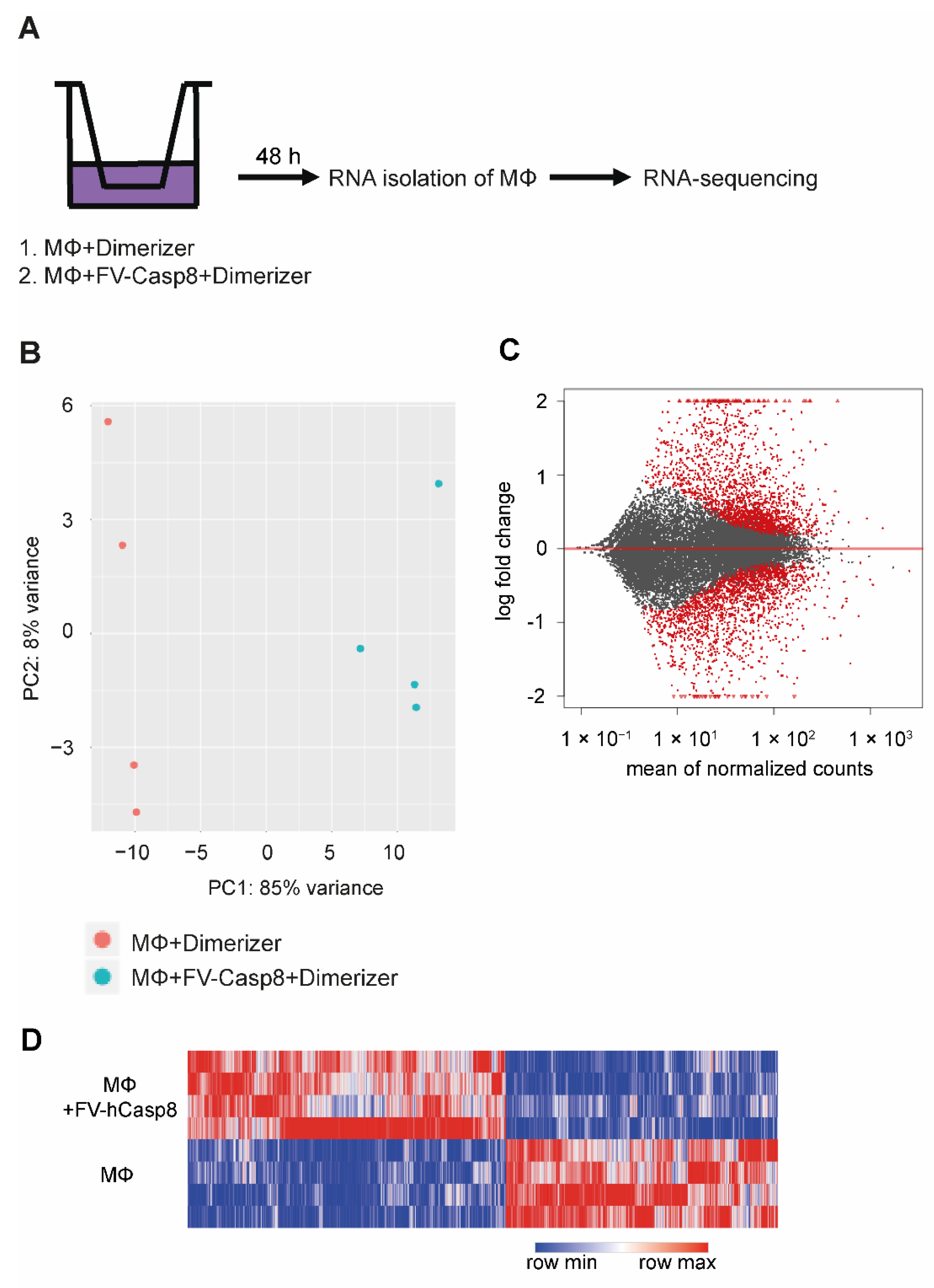 Ijms 22 02230 g003 Ijms 22 02230 g003