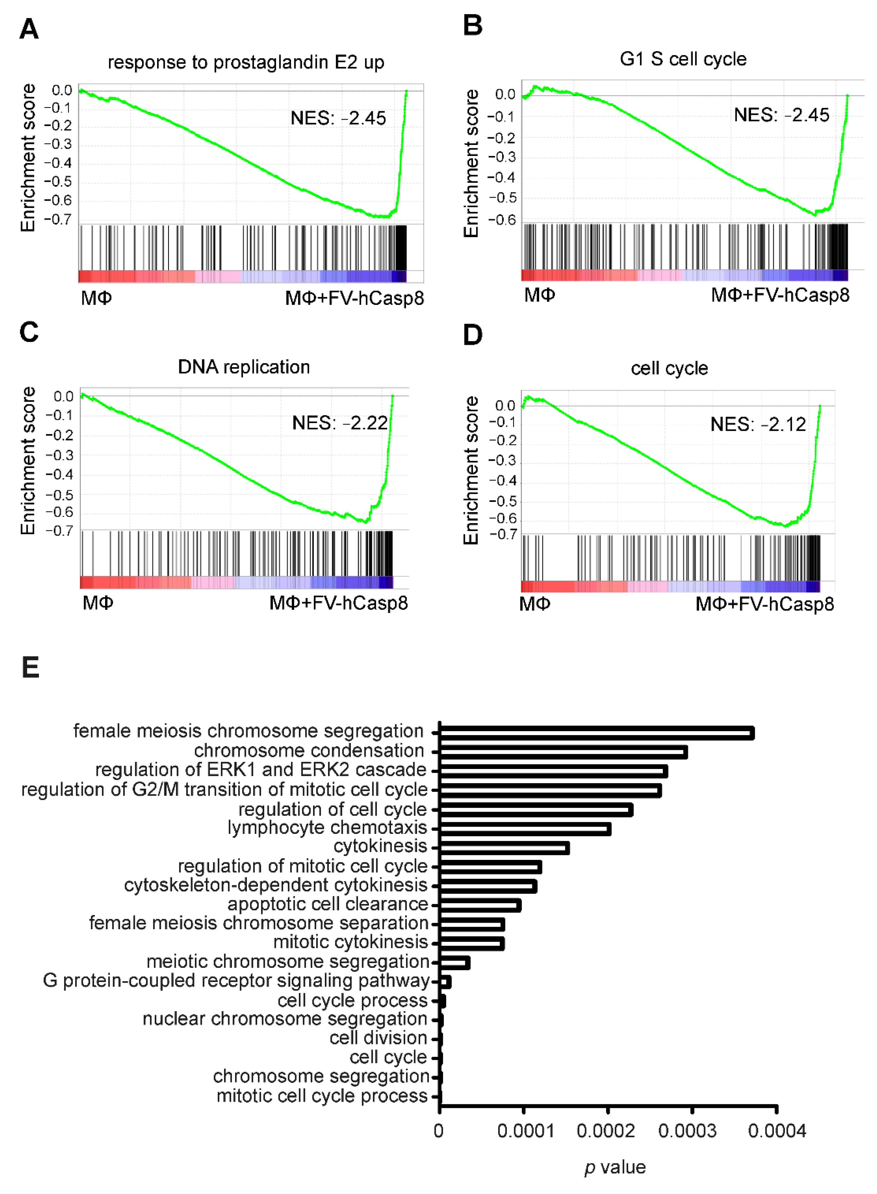 Ijms 22 02230 g004 Ijms 22 02230 g004