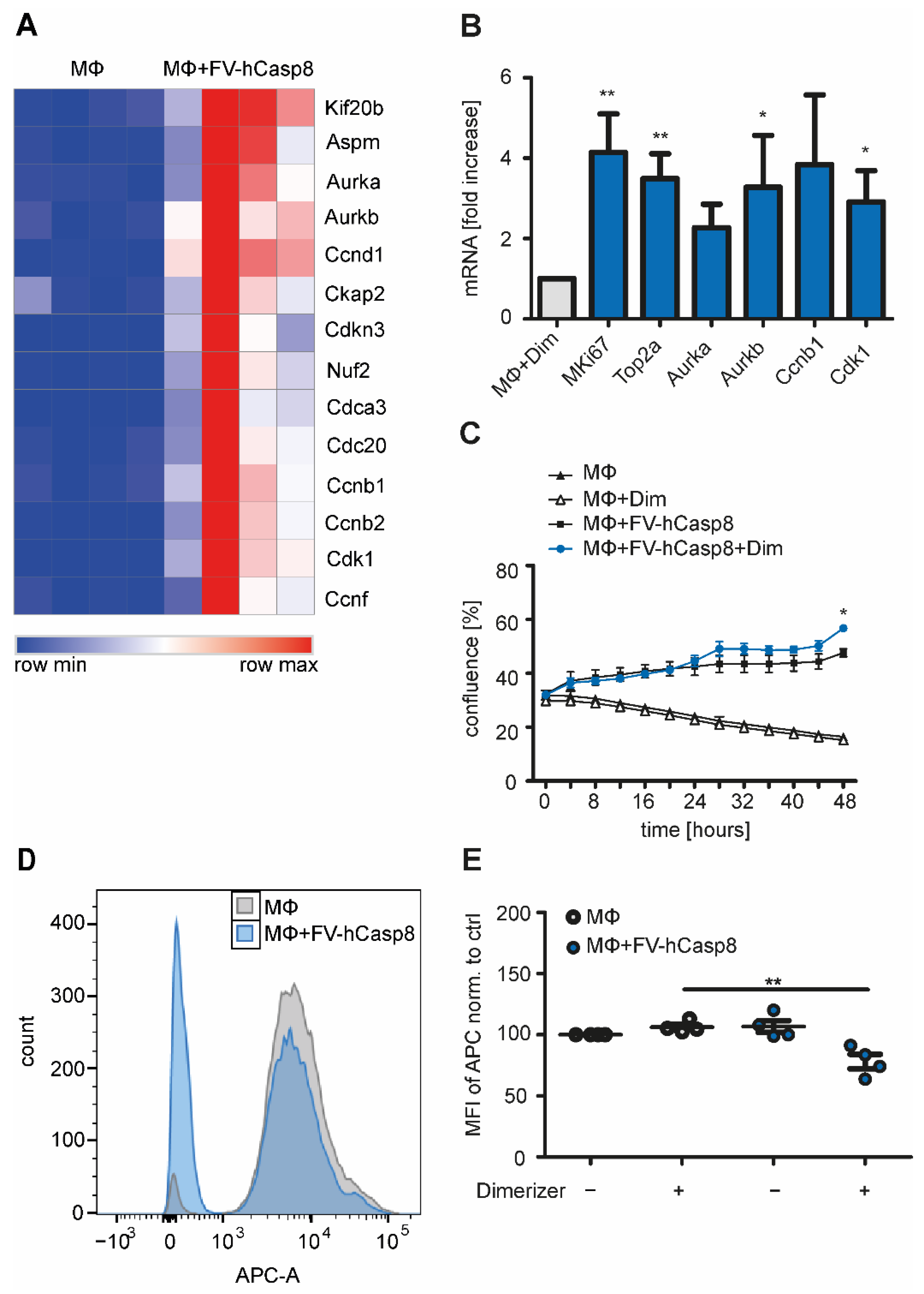 Ijms 22 02230 g005 Ijms 22 02230 g005