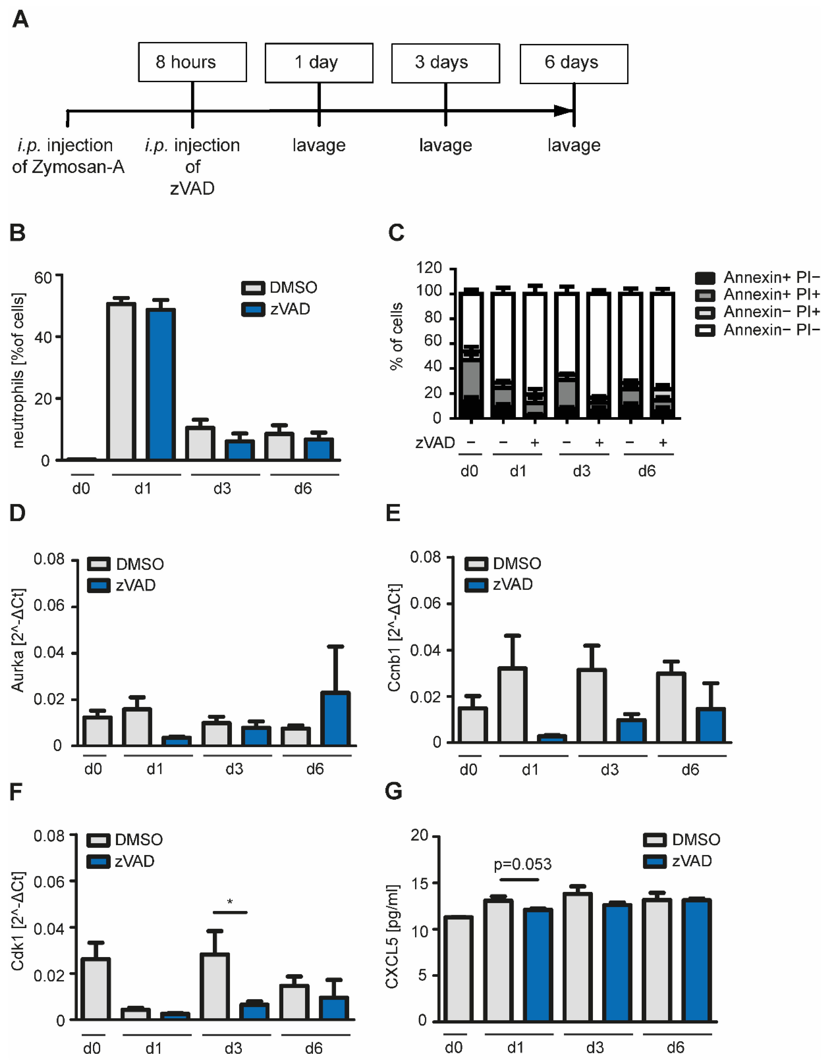 Ijms 22 02230 g006 Ijms 22 02230 g006
