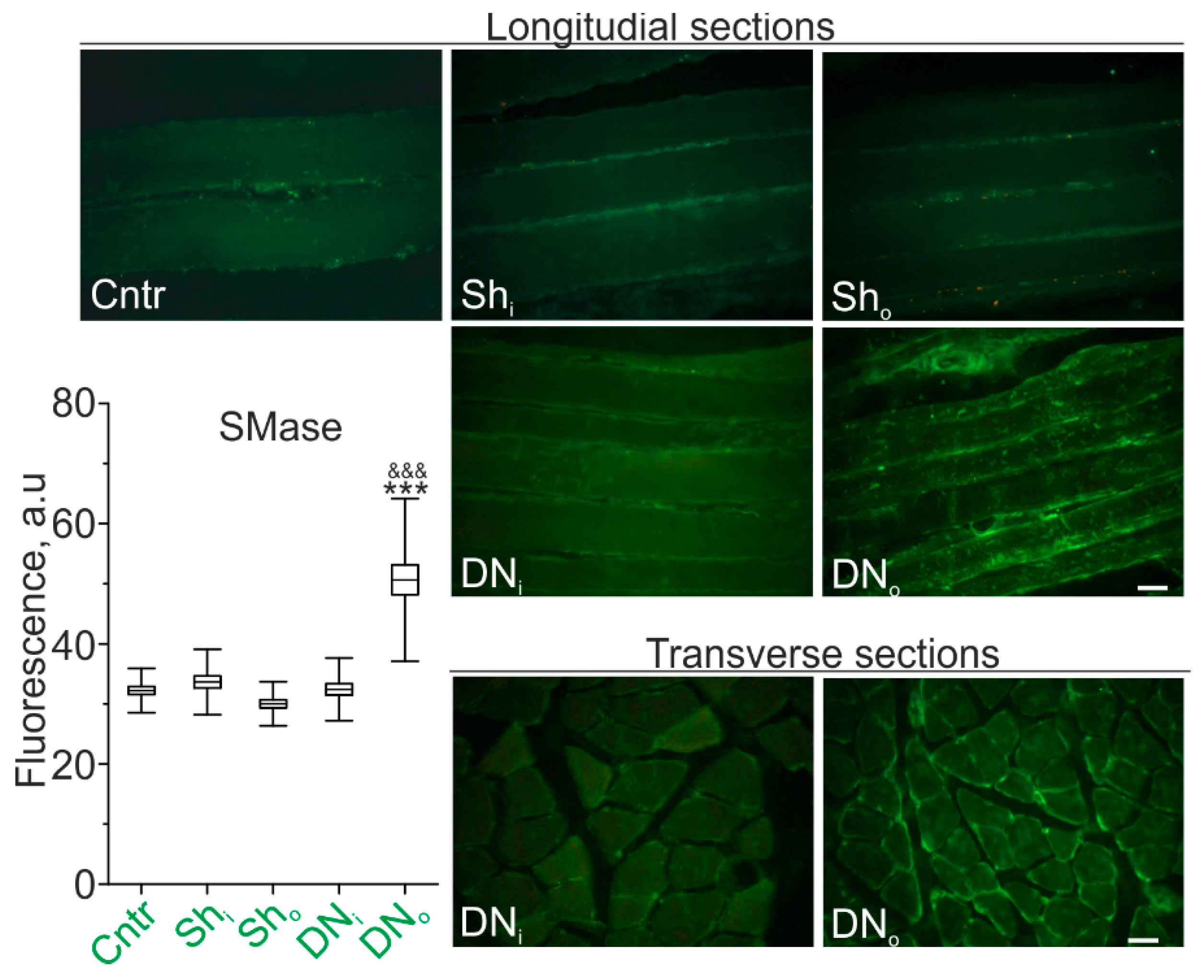 Ijms 22 02239 g001 Ijms 22 02239 g001