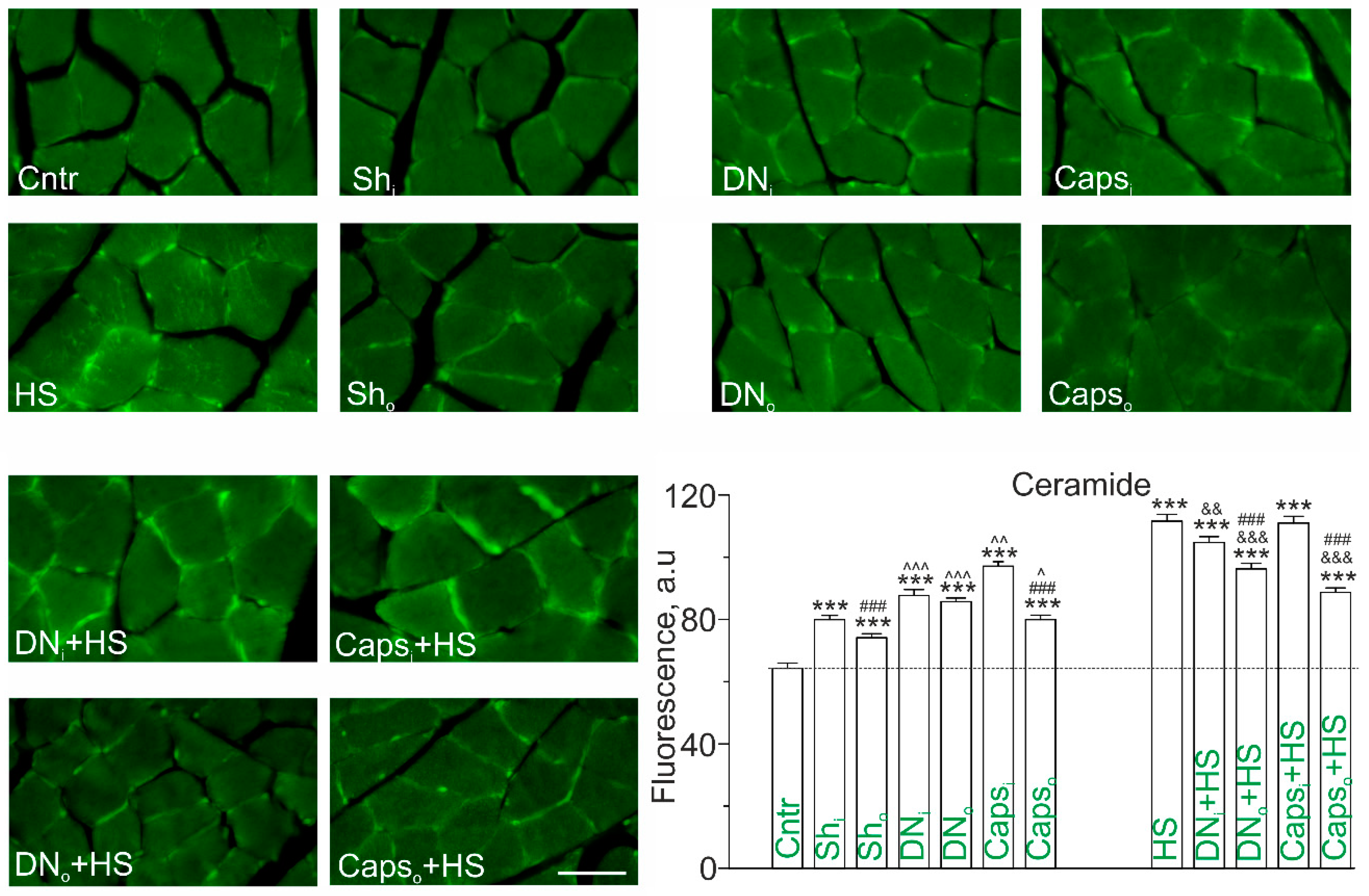 Ijms 22 02239 g002 Ijms 22 02239 g002