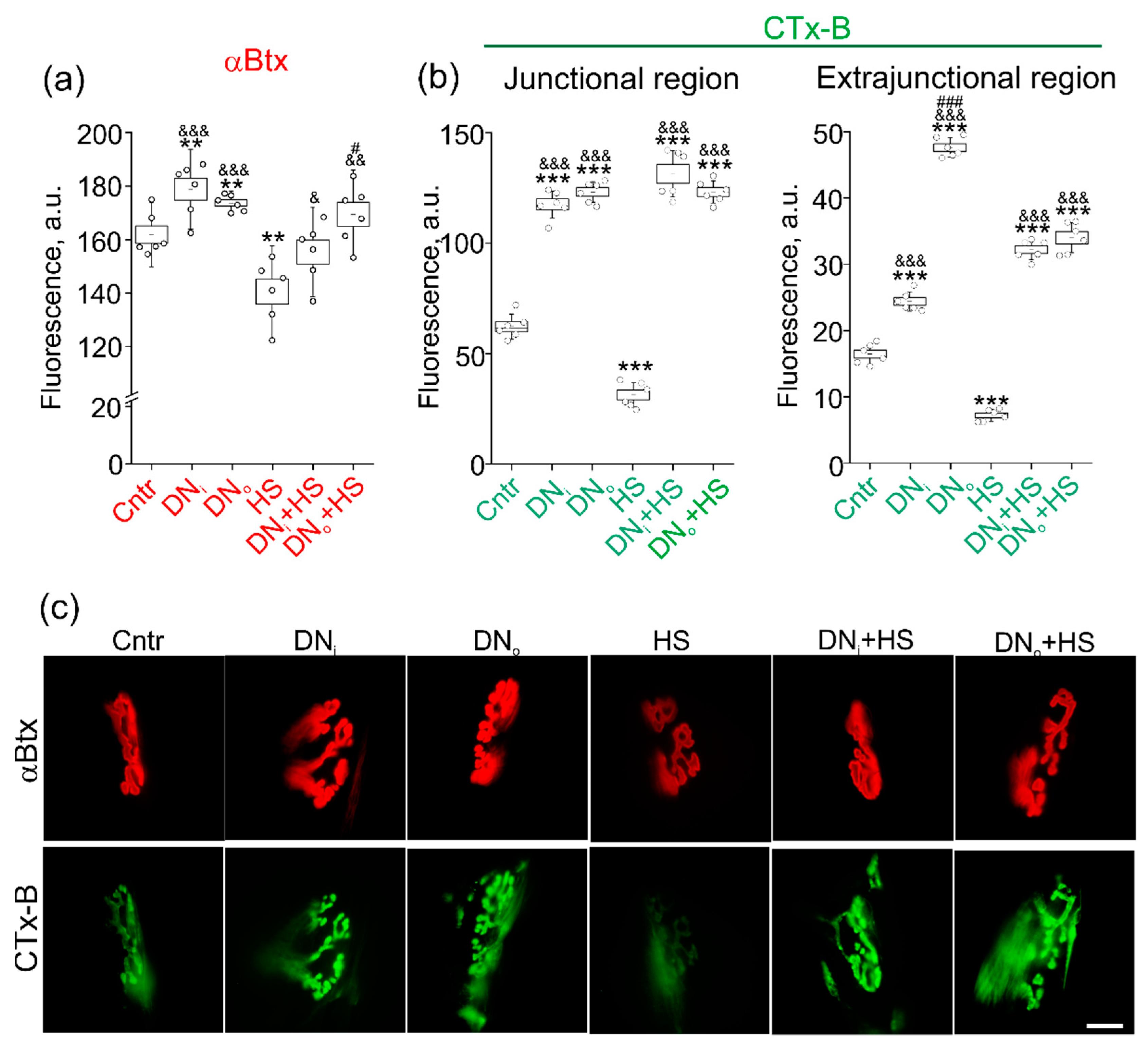 Ijms 22 02239 g005 Ijms 22 02239 g005