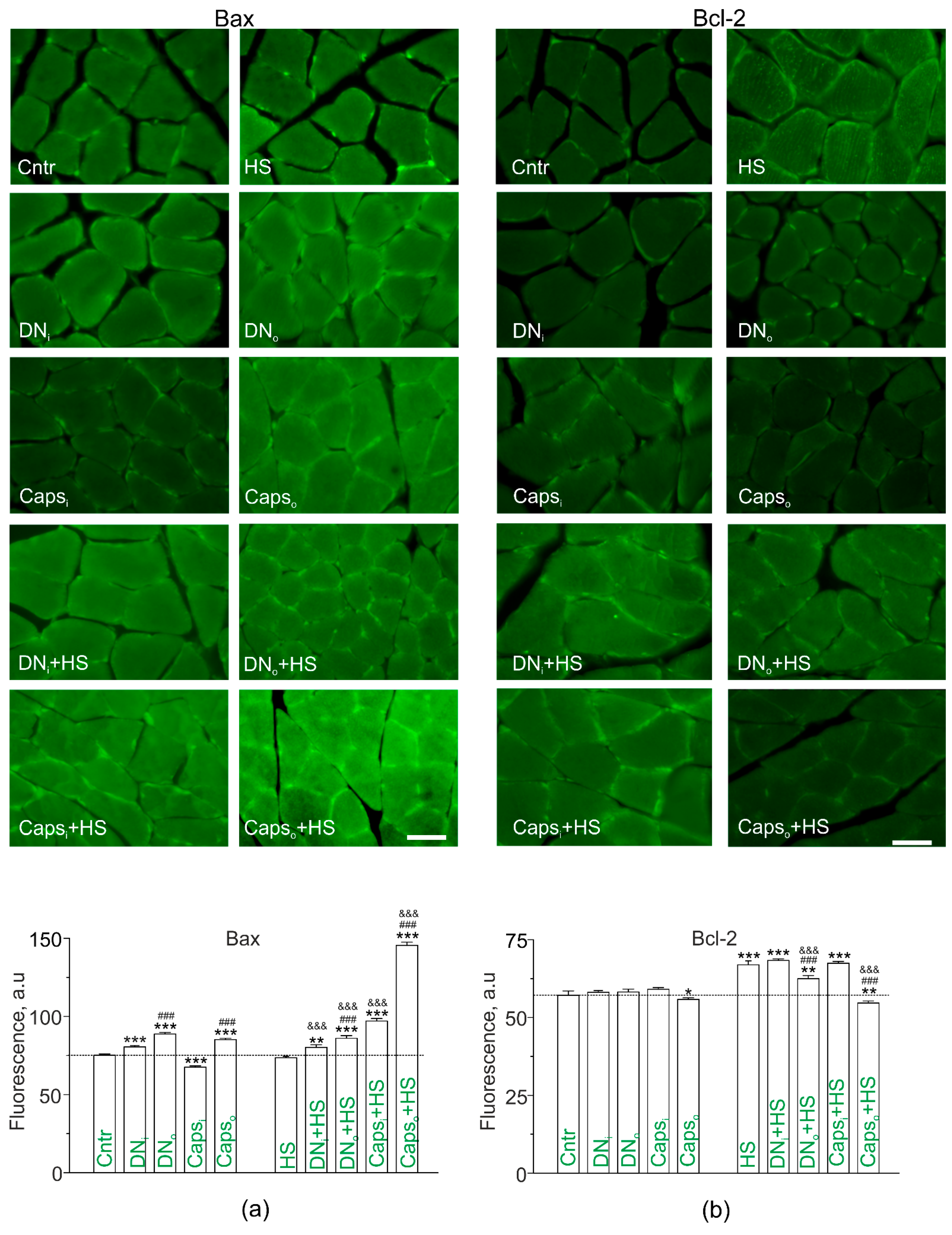 Ijms 22 02239 g007 Ijms 22 02239 g007