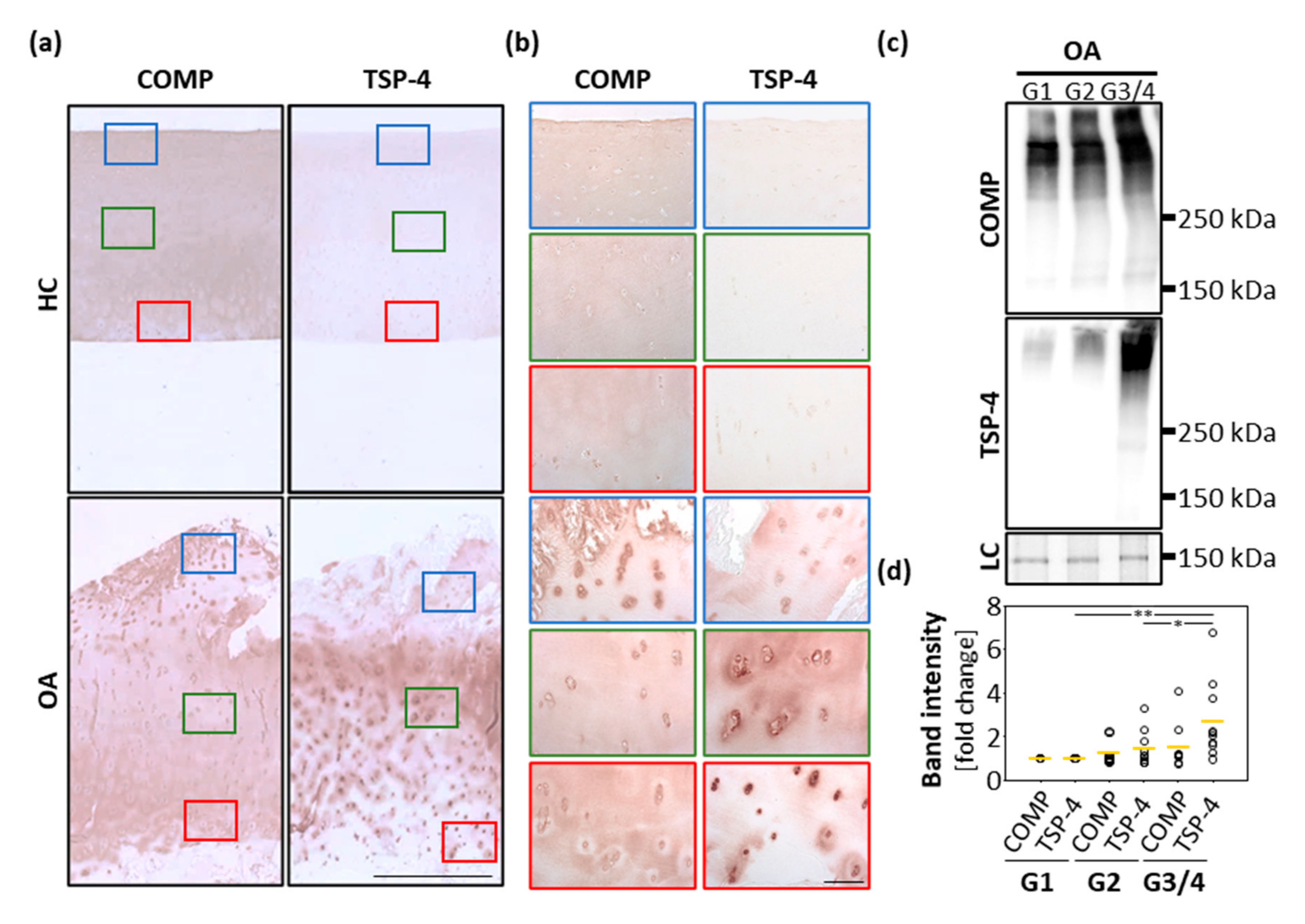 Ijms 22 02242 g001 Ijms 22 02242 g001