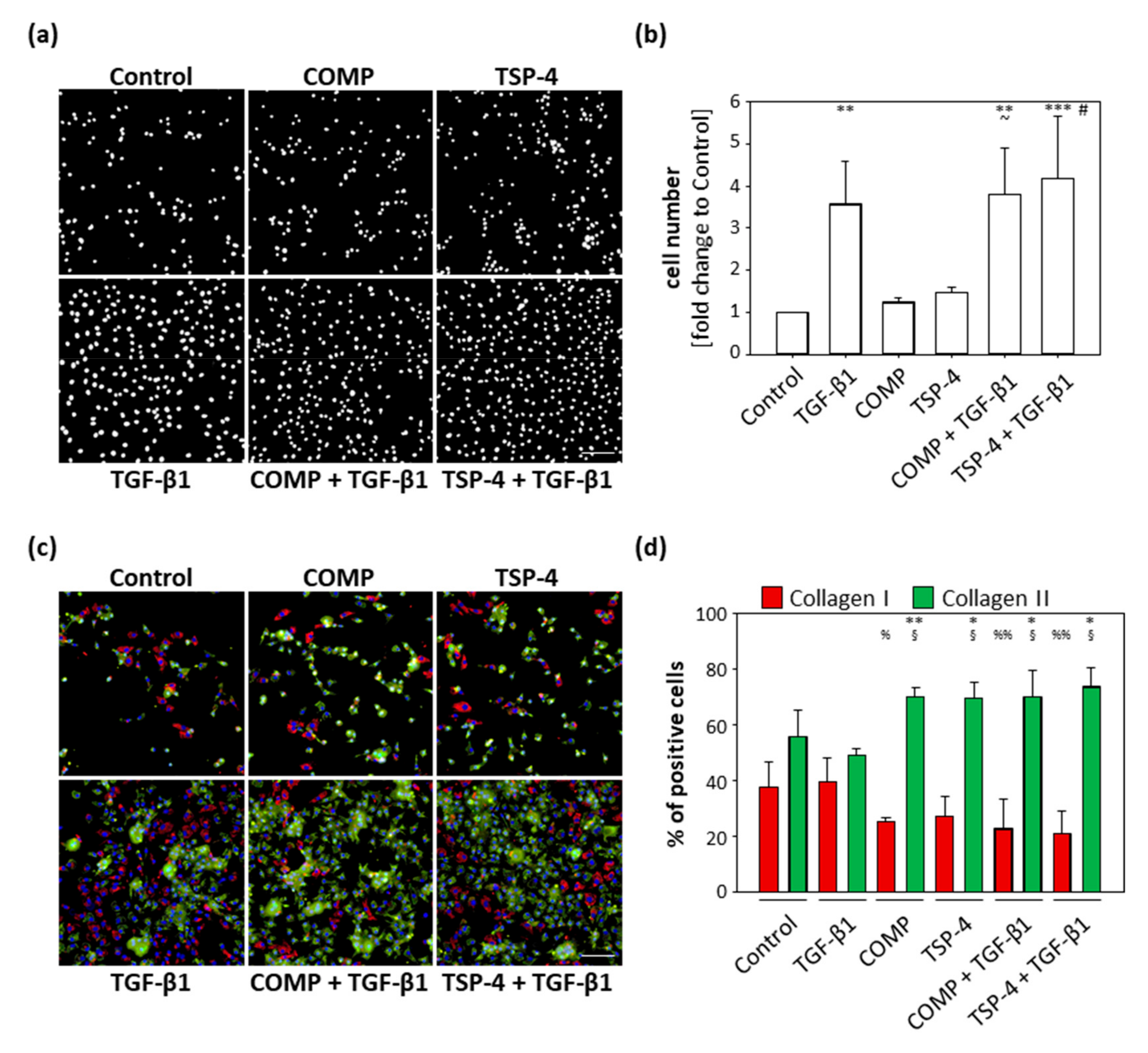 Ijms 22 02242 g004 Ijms 22 02242 g004