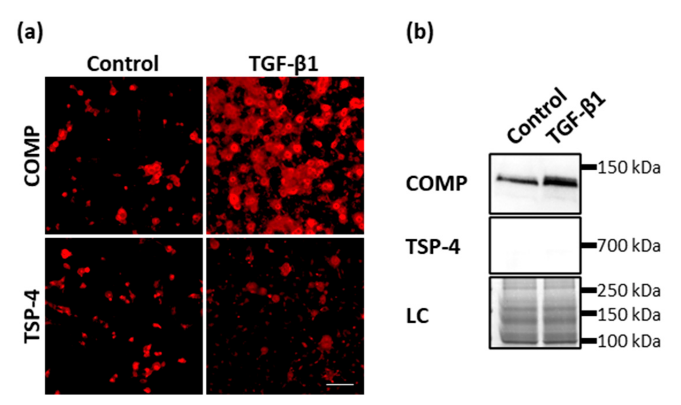 Ijms 22 02242 g0a2 Ijms 22 02242 g0a2
