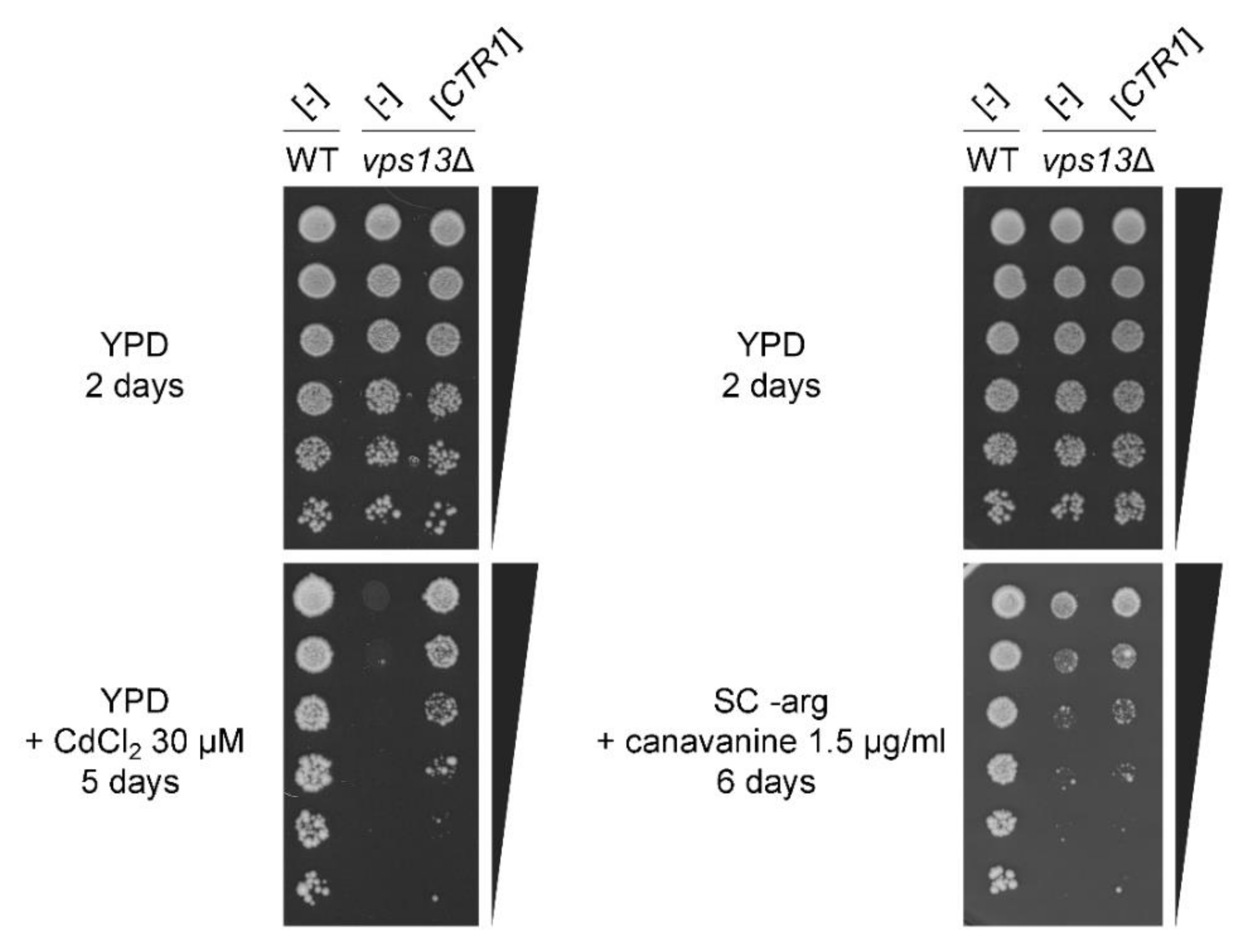 Ijms 22 02248 g0a2