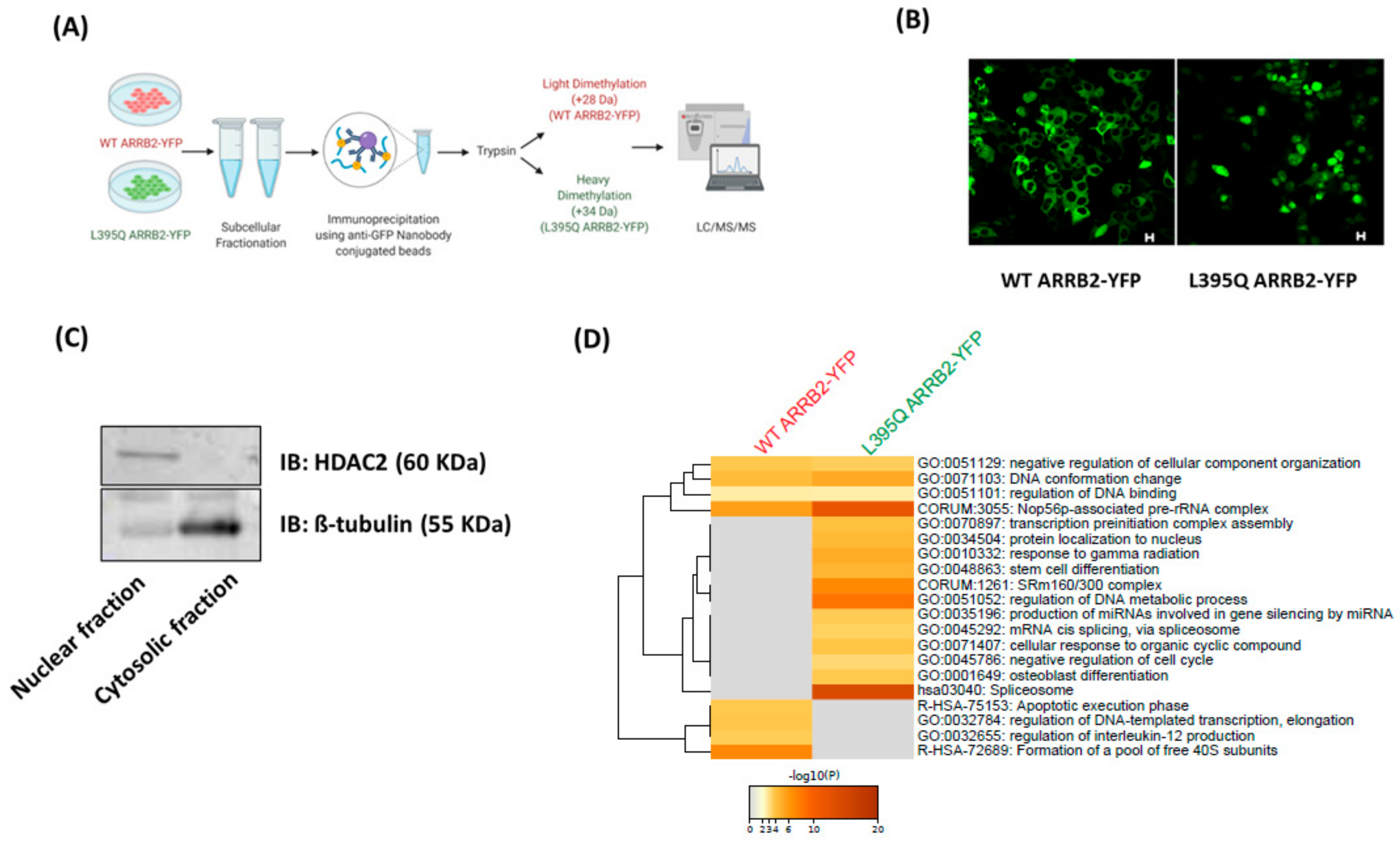 Ijms 22 02280 g002 Ijms 22 02280 g002