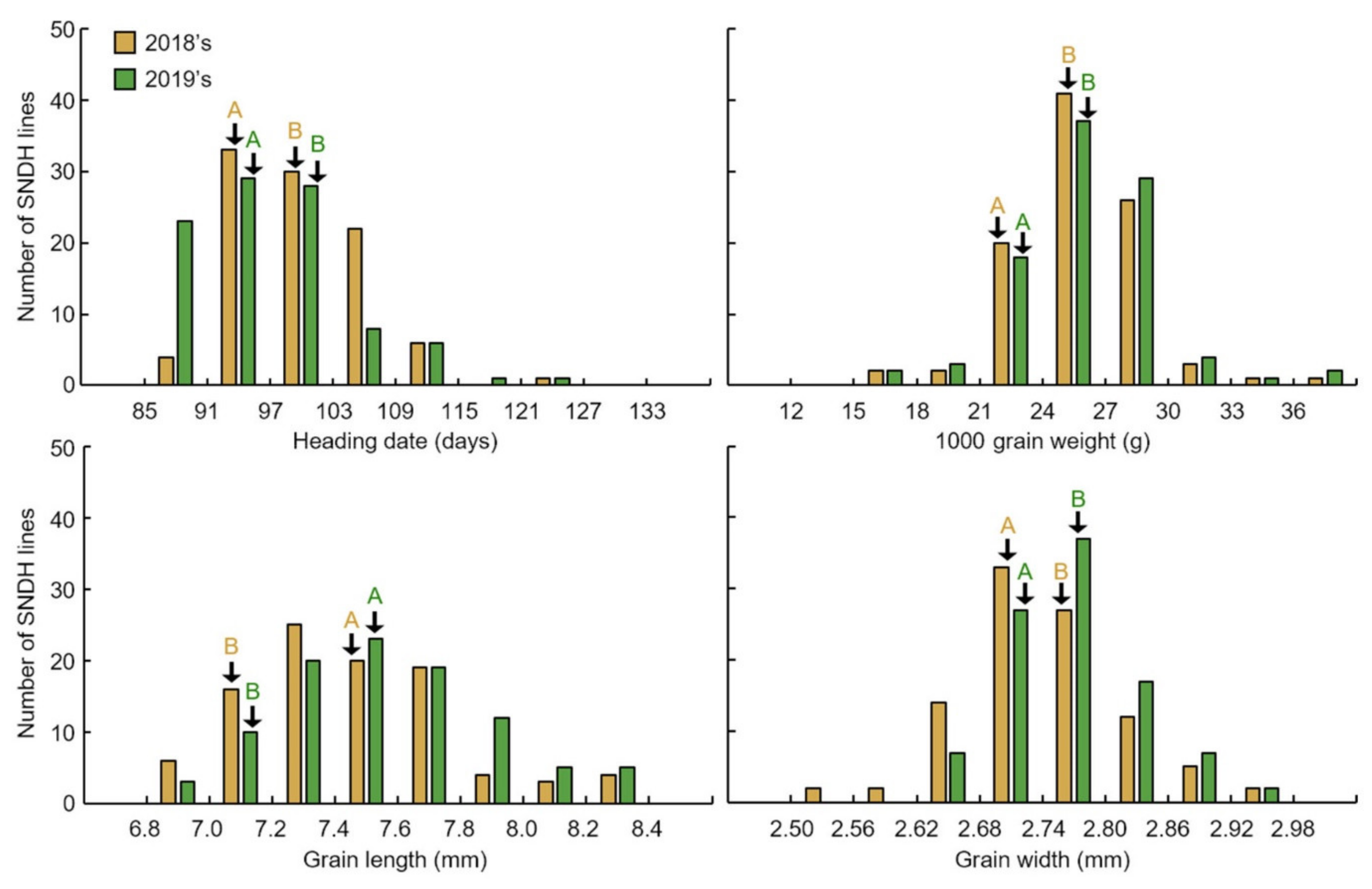 Ijms 22 02289 g003 Ijms 22 02289 g003
