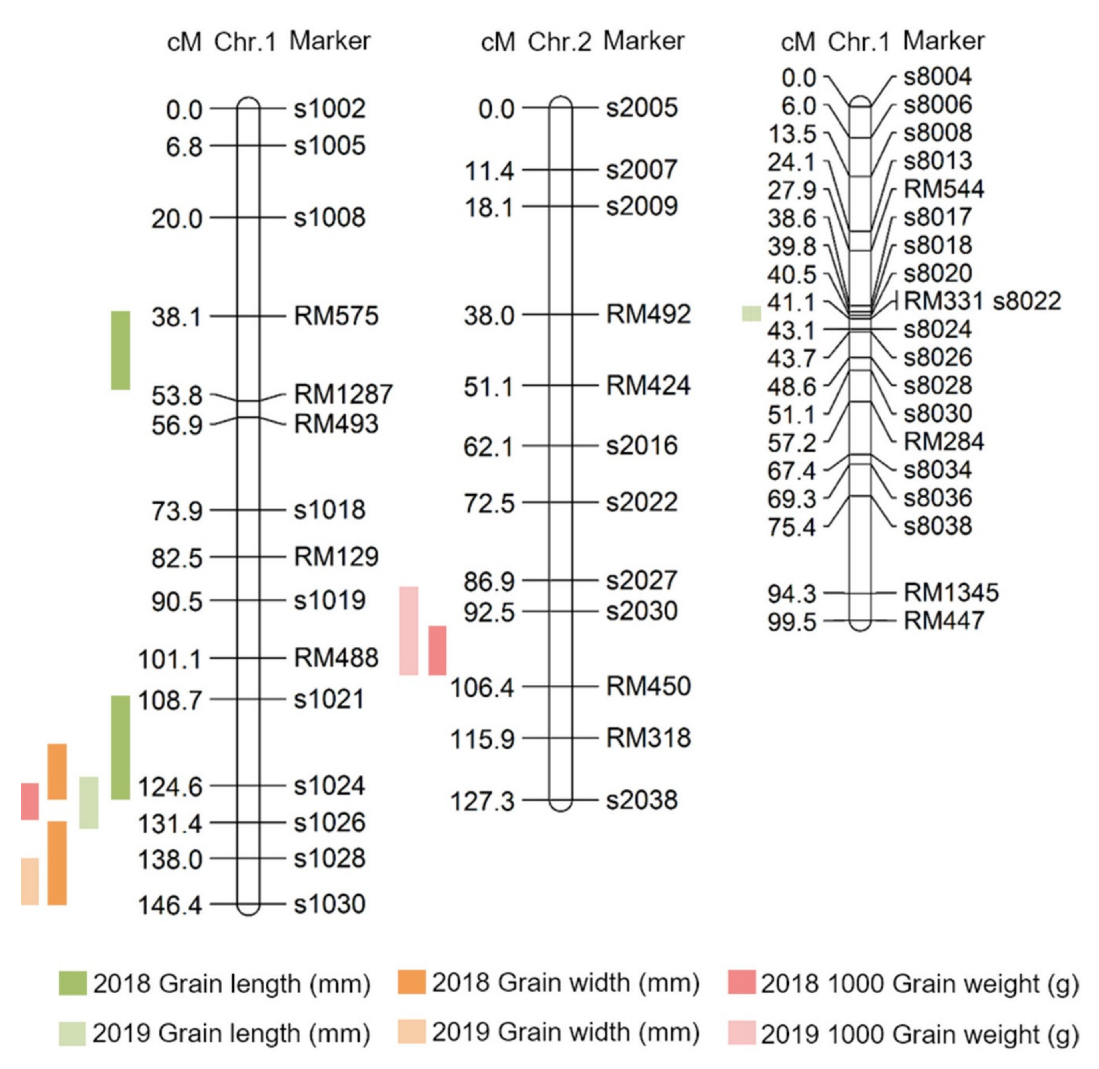 Ijms 22 02289 g004 Ijms 22 02289 g004