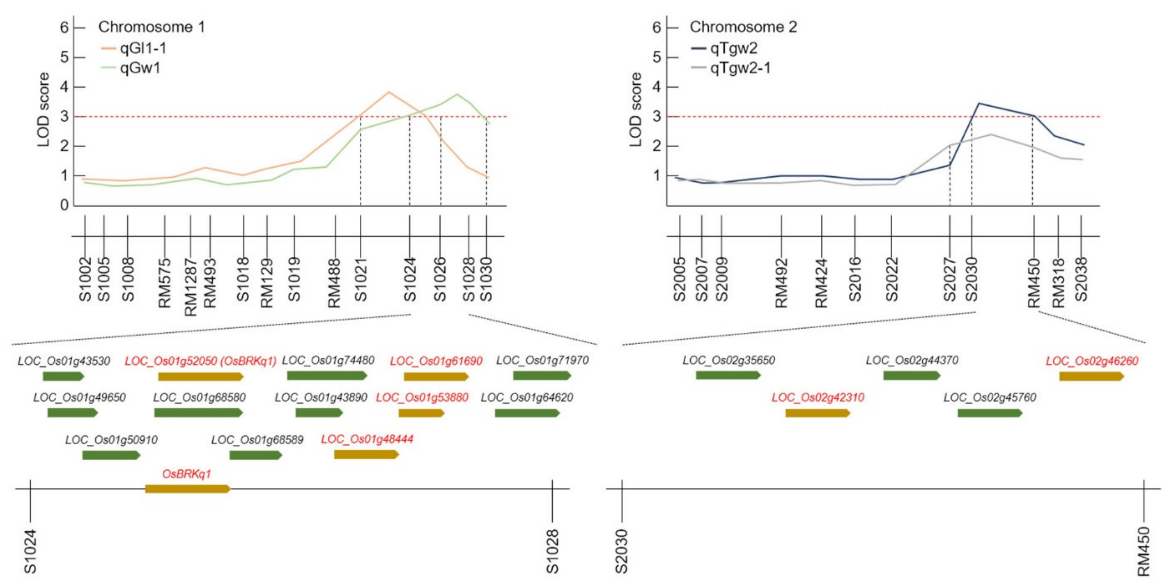Ijms 22 02289 g005 Ijms 22 02289 g005