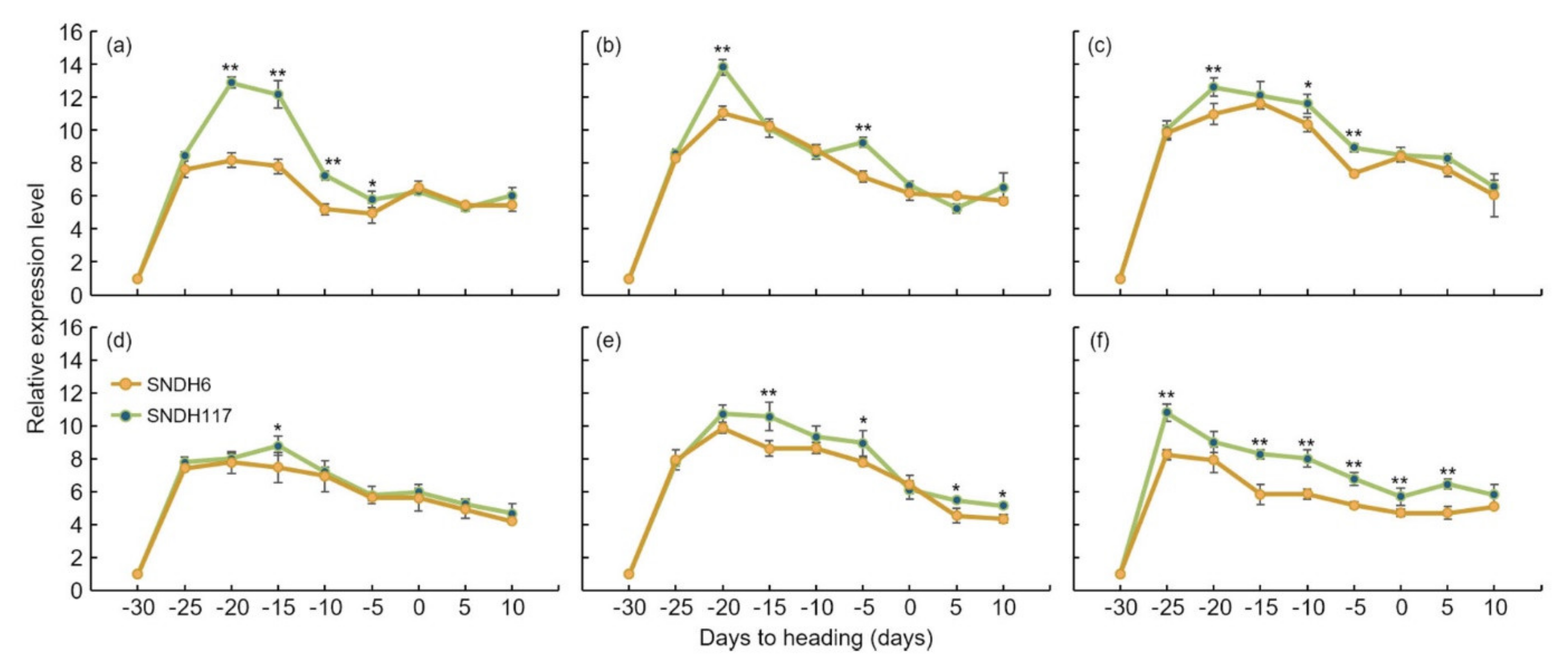 Ijms 22 02289 g007 Ijms 22 02289 g007