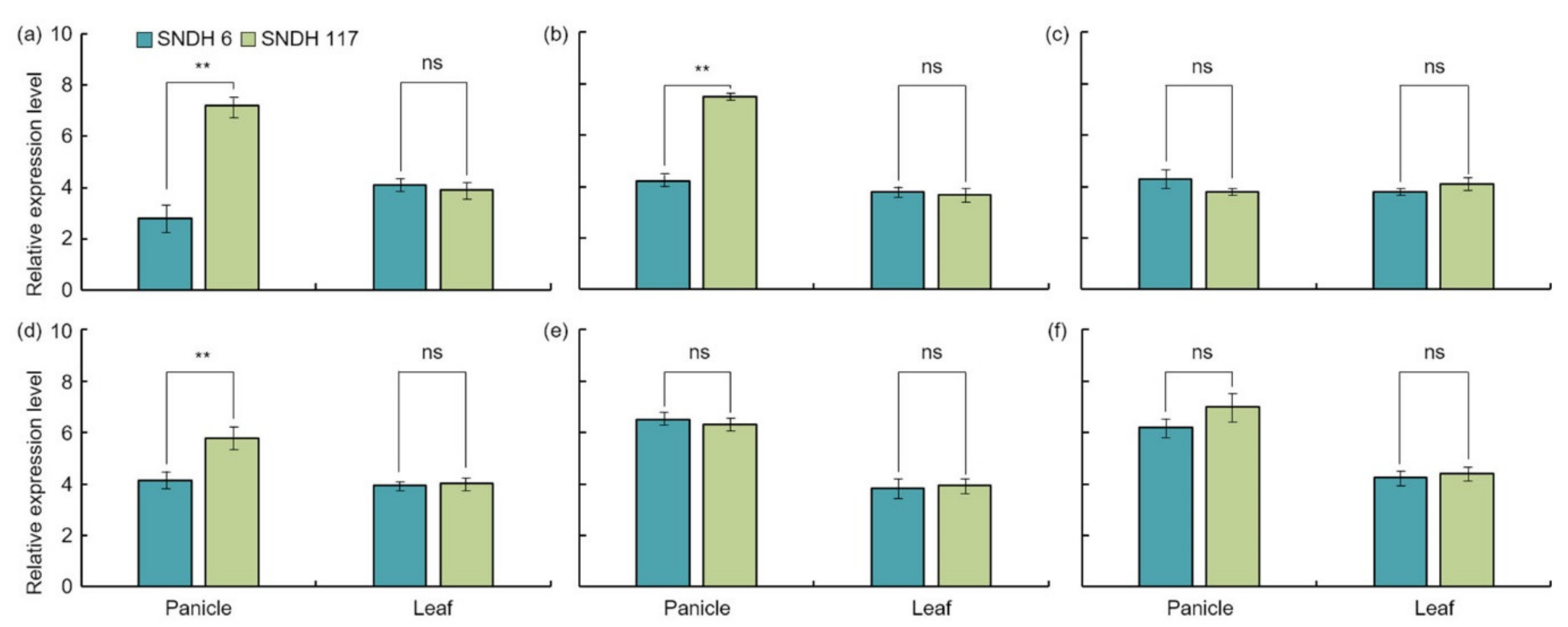 Ijms 22 02289 g008 Ijms 22 02289 g008