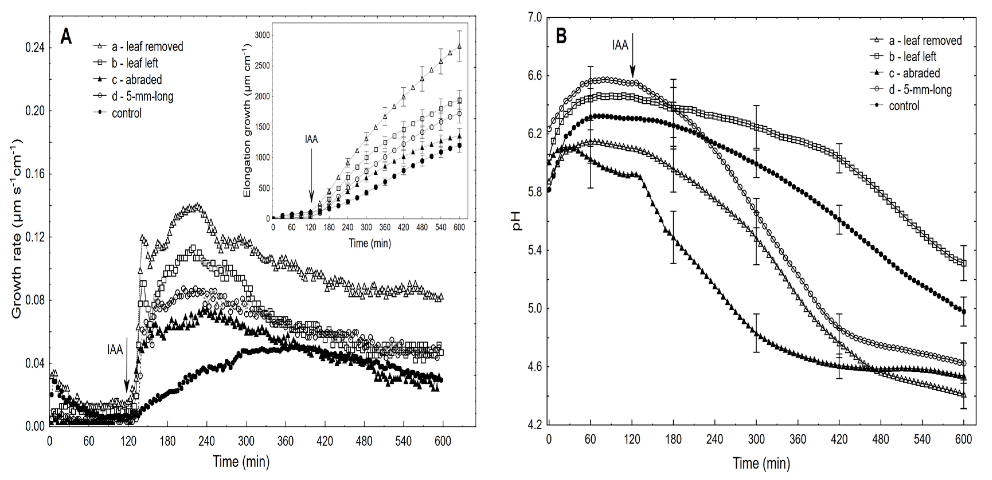 Ijms 22 02317 g001 Ijms 22 02317 g001