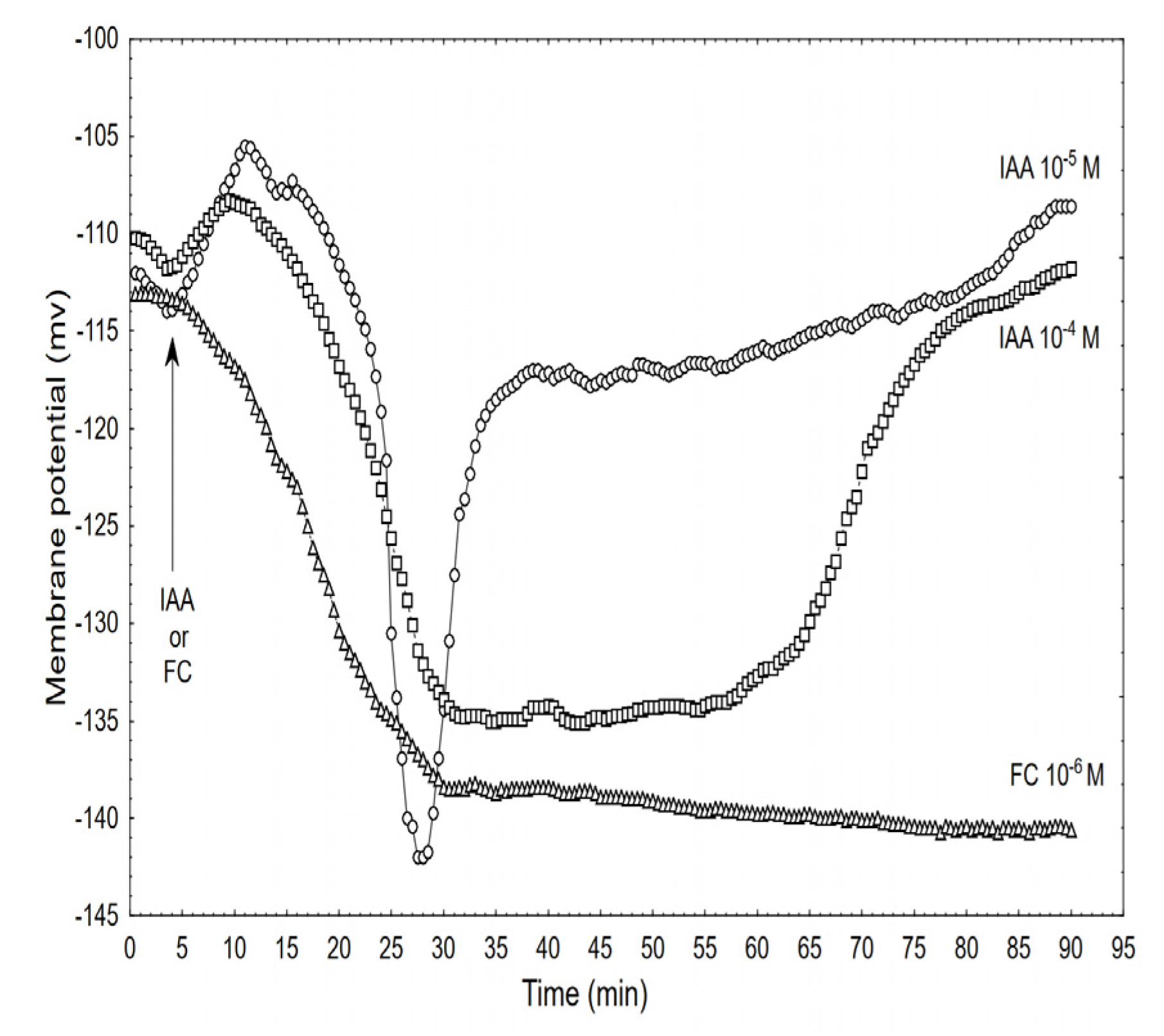 Ijms 22 02317 g005 Ijms 22 02317 g005