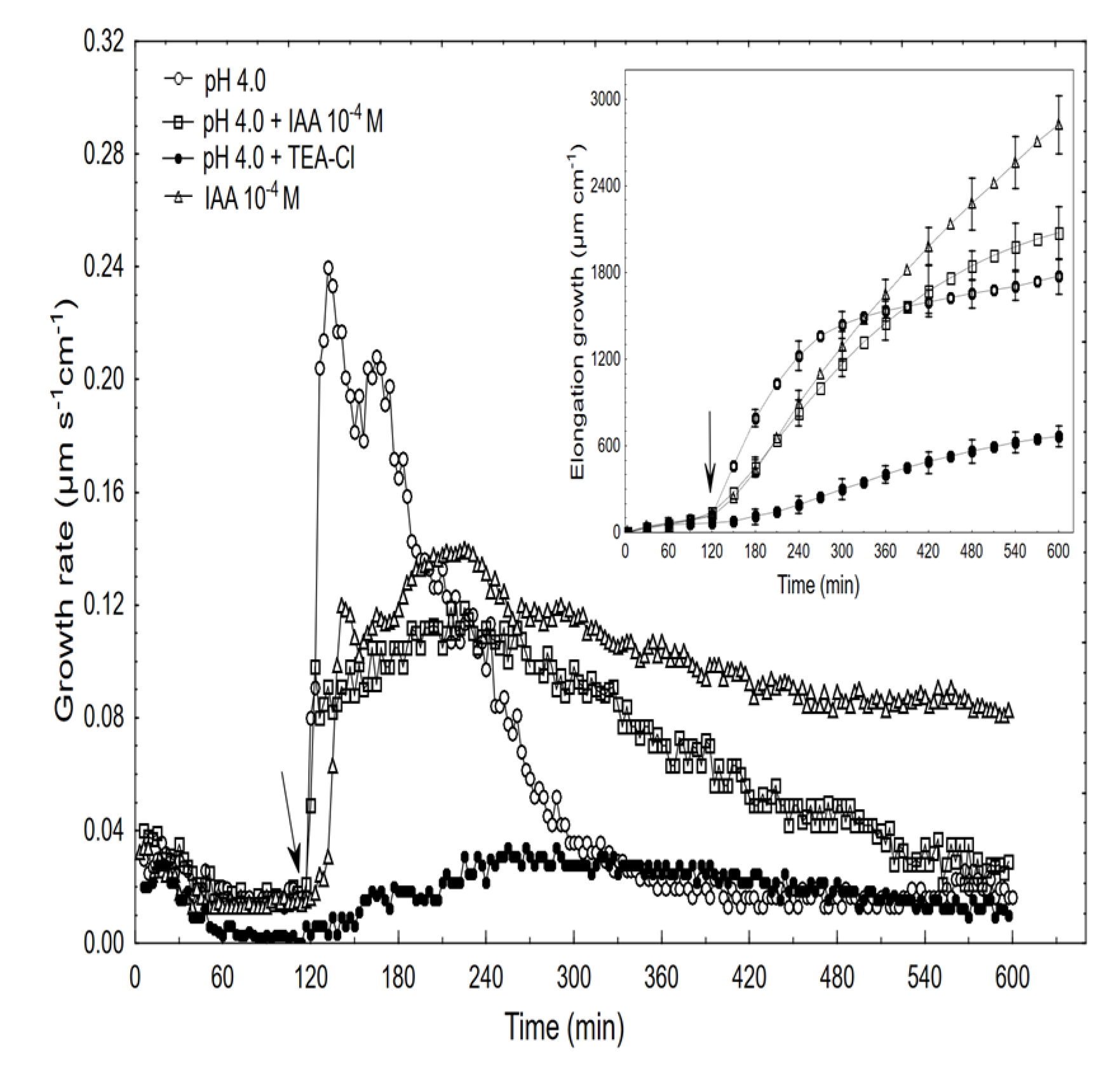 Ijms 22 02317 g006 Ijms 22 02317 g006