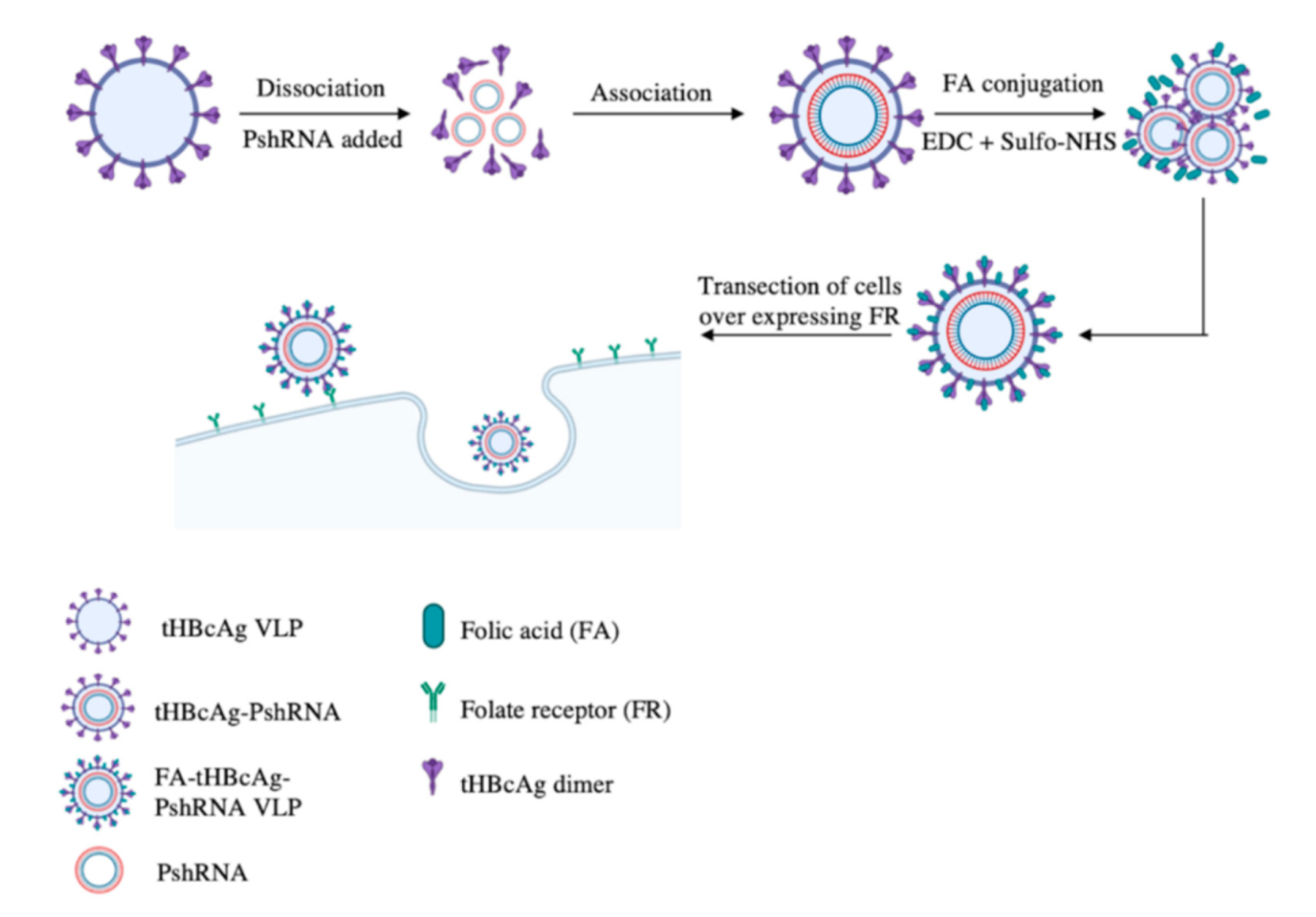 Ijms 22 02320 sch001