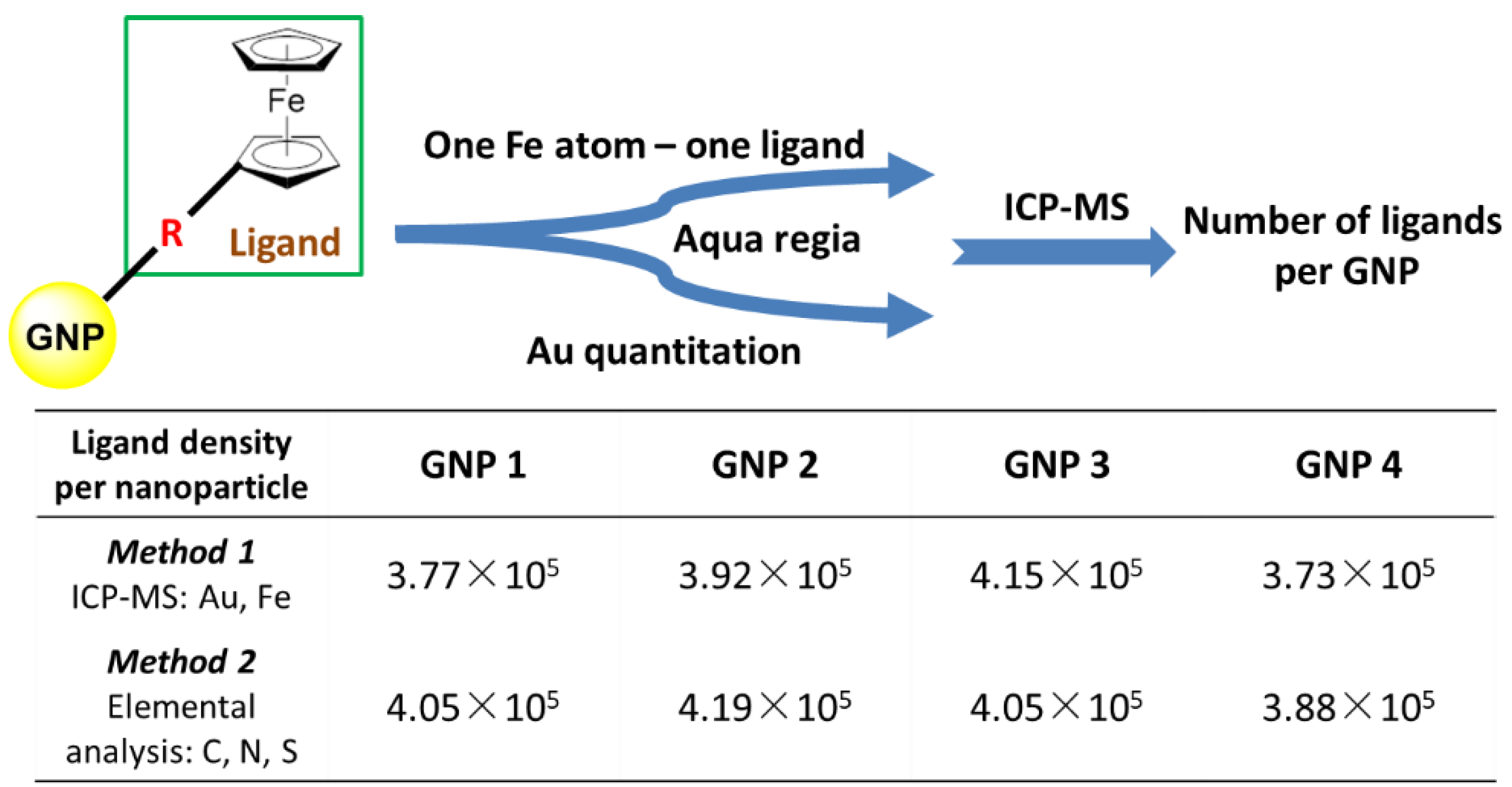 Ijms 22 02328 g004 Ijms 22 02328 g004