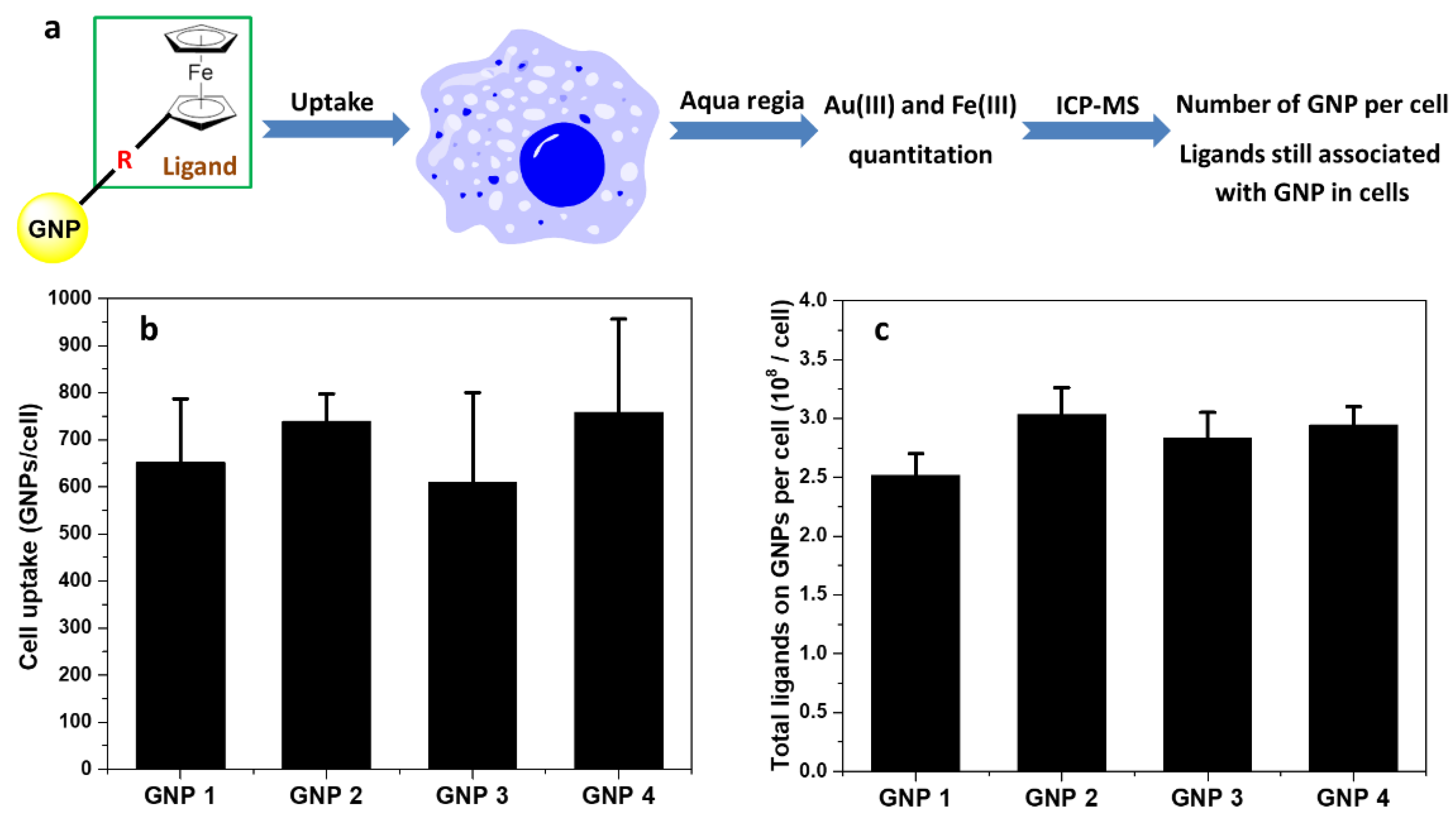 Ijms 22 02328 g005 Ijms 22 02328 g005