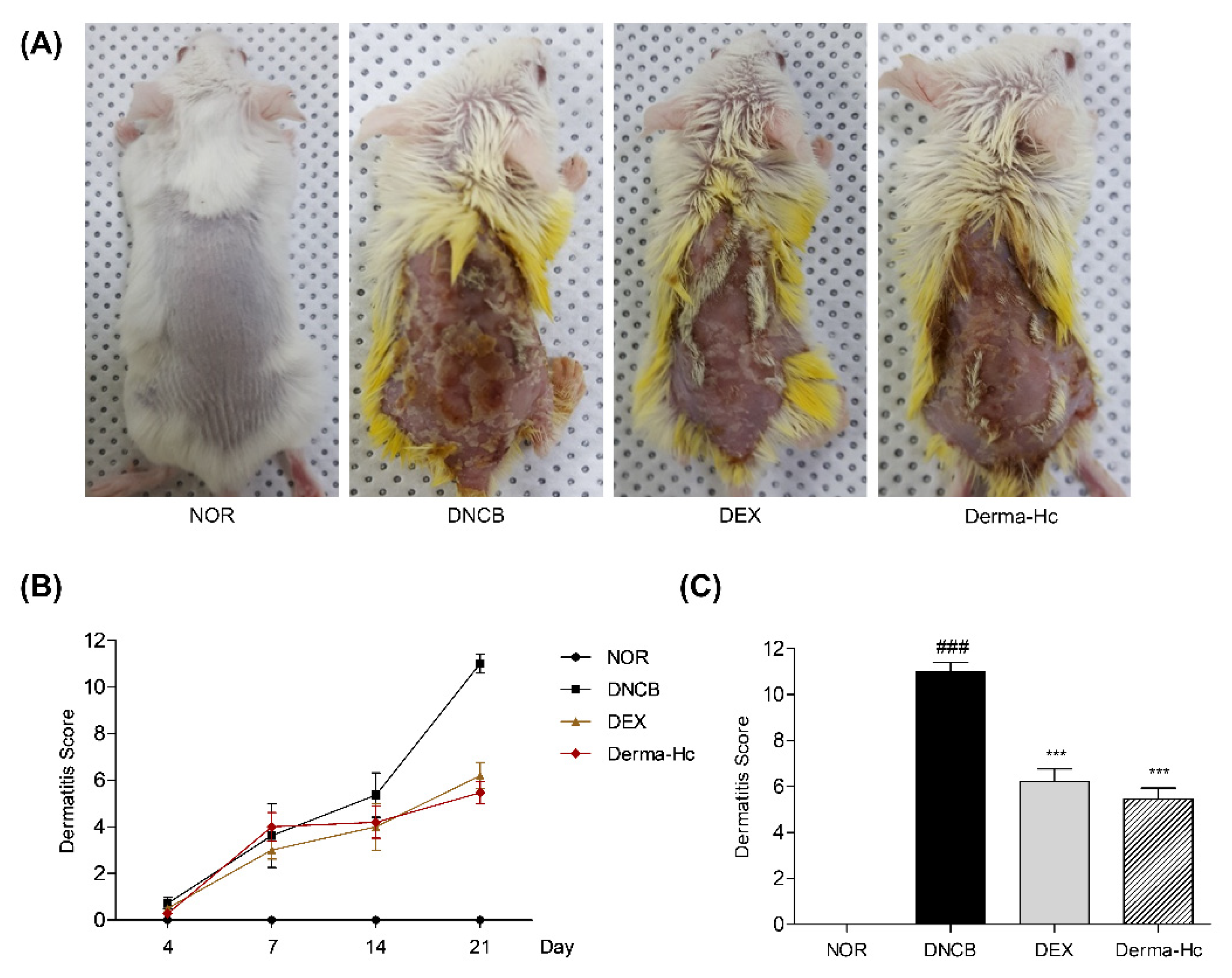 Ijms 22 02359 g001 Ijms 22 02359 g001