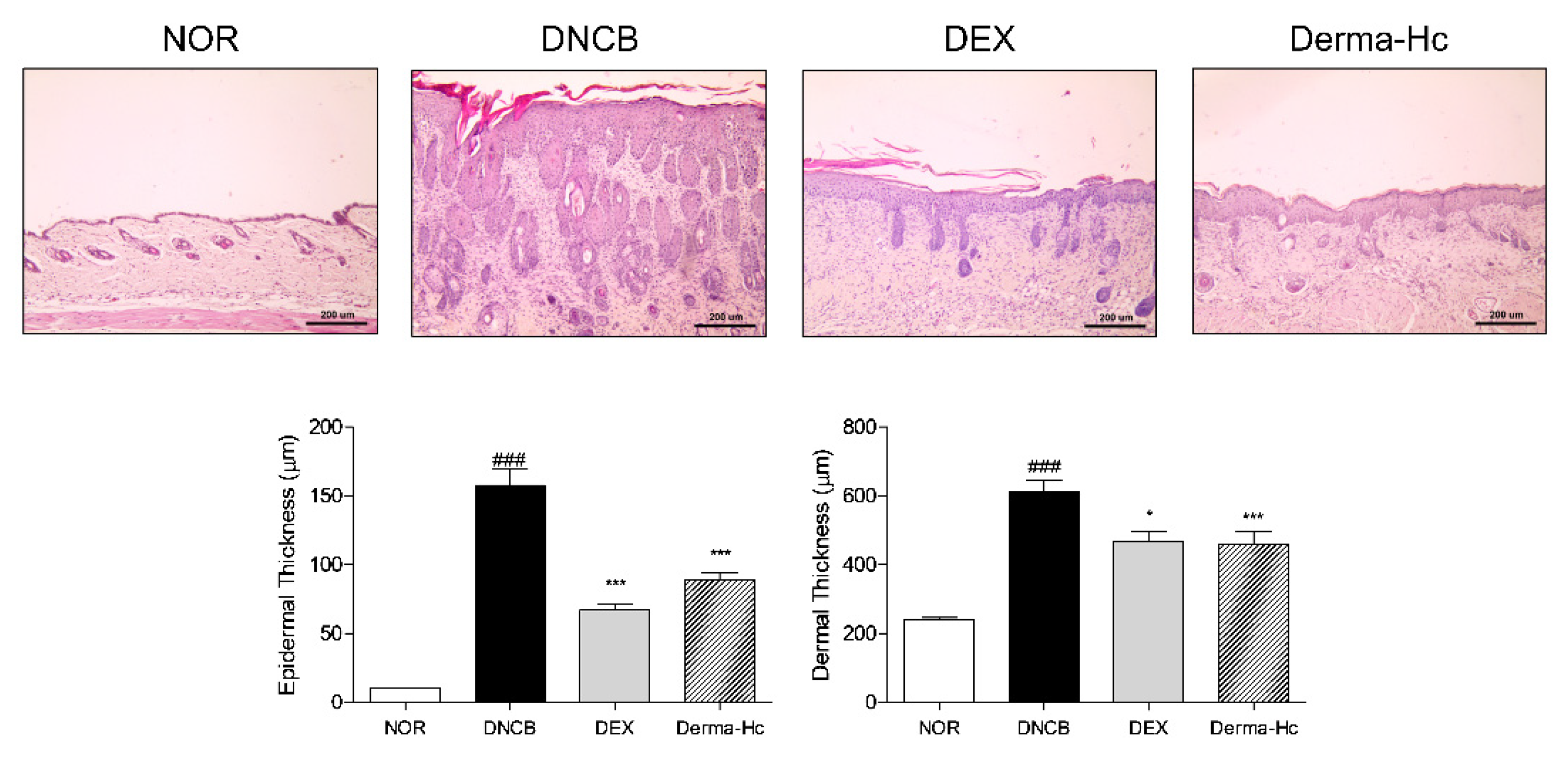 Ijms 22 02359 g003 Ijms 22 02359 g003