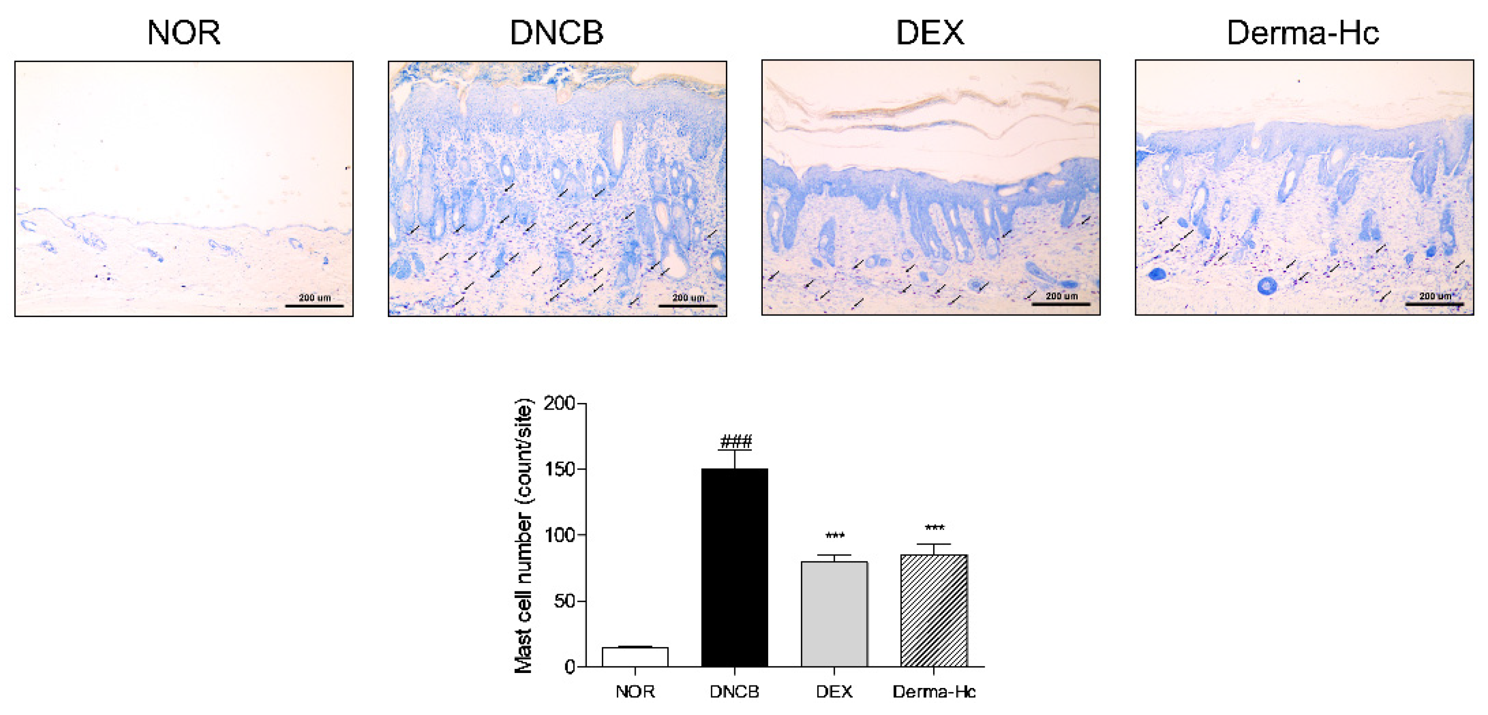 Ijms 22 02359 g004 Ijms 22 02359 g004