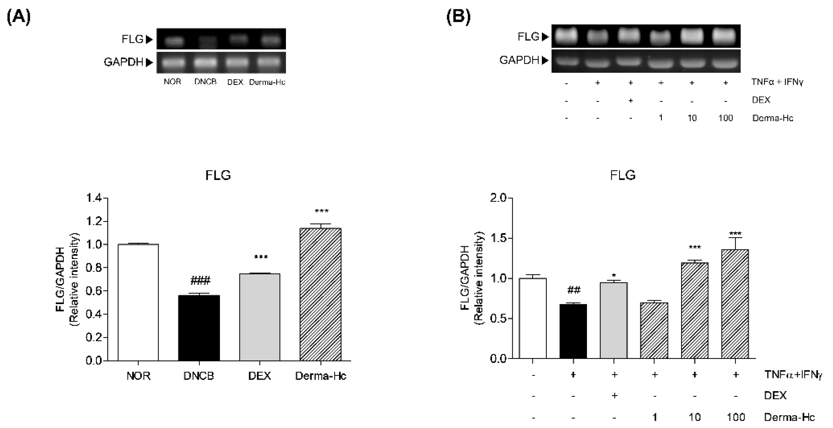 Ijms 22 02359 g006 Ijms 22 02359 g006