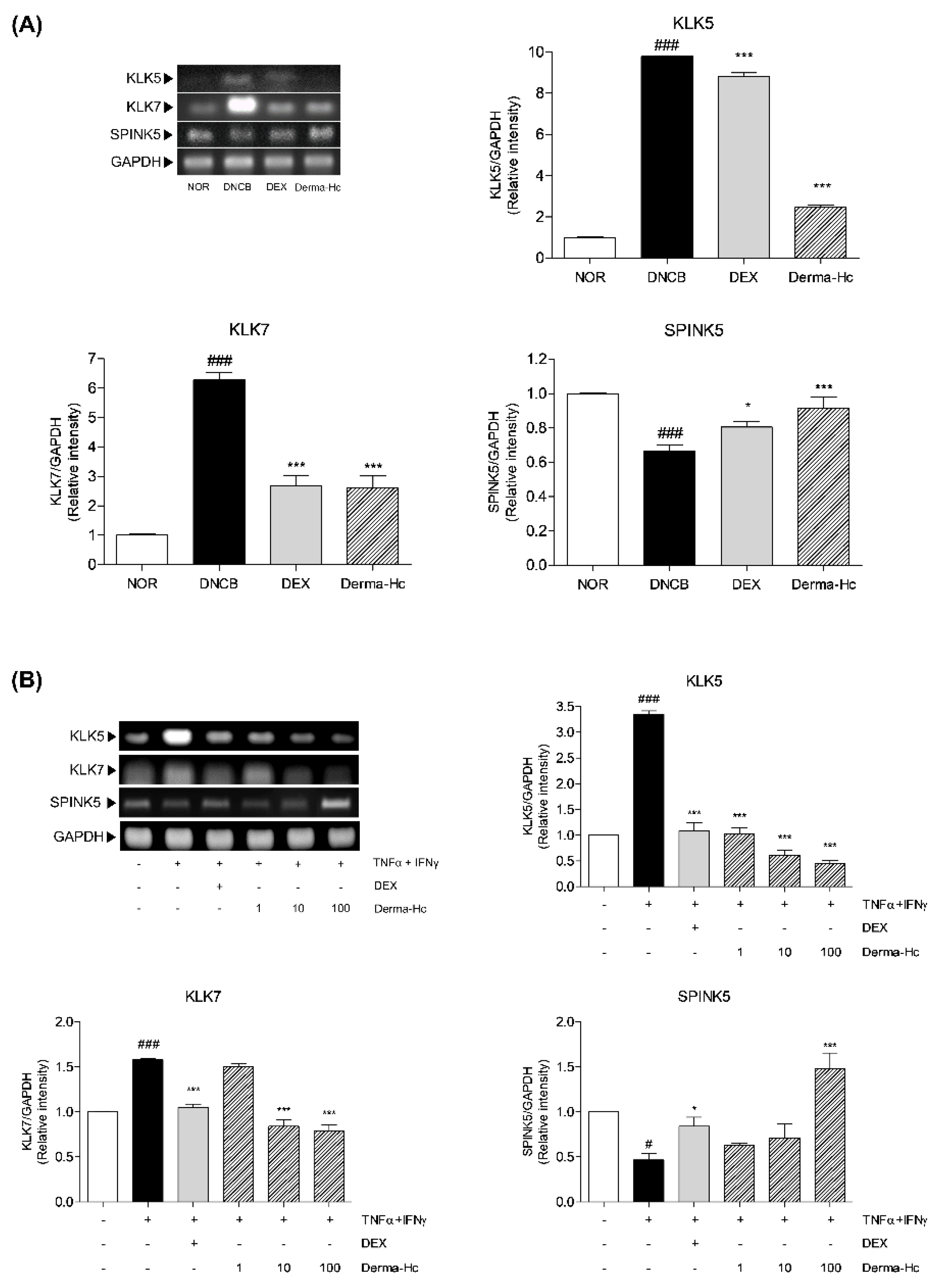 Ijms 22 02359 g007 Ijms 22 02359 g007