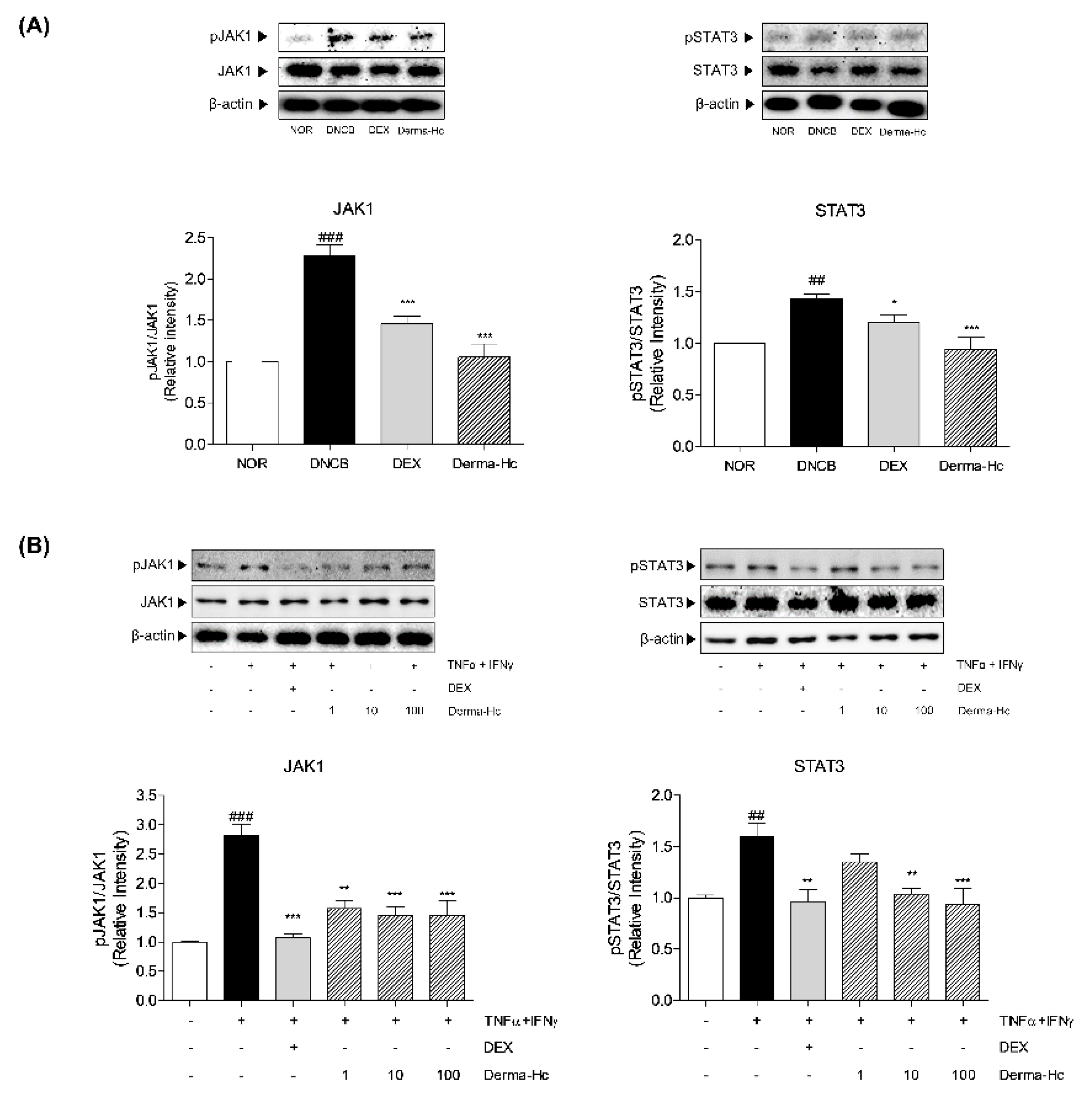 Ijms 22 02359 g008 Ijms 22 02359 g008