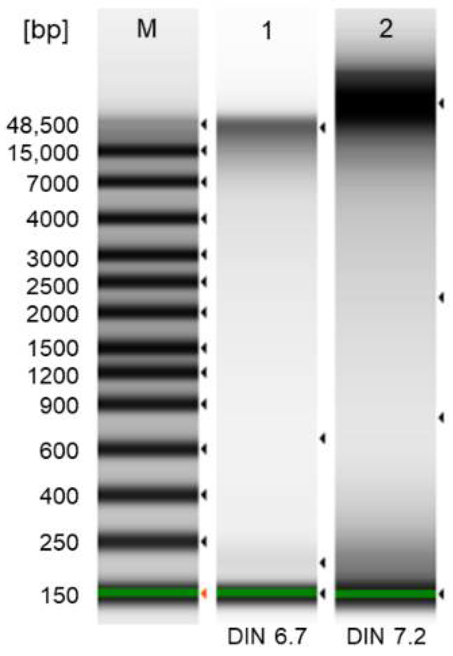 Ijms 22 02376 g008 Ijms 22 02376 g008