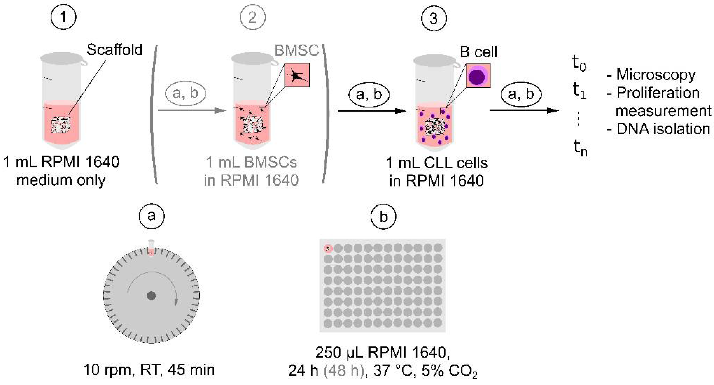 Ijms 22 02376 g009 Ijms 22 02376 g009