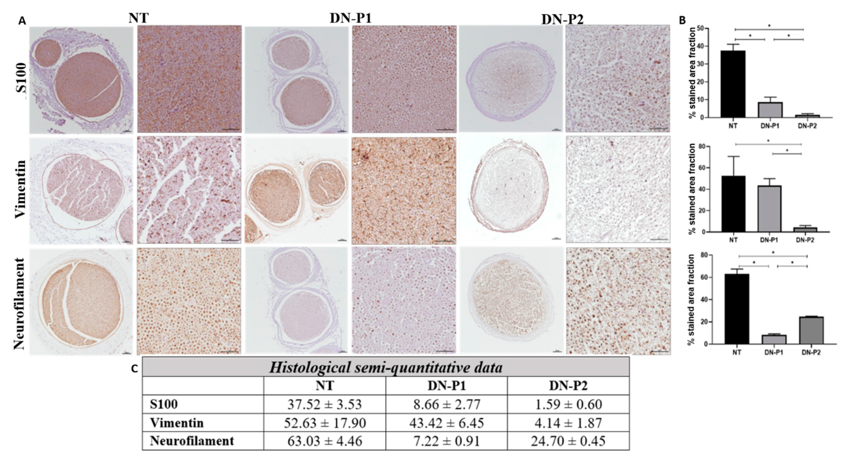 Ijms 22 02389 g002
