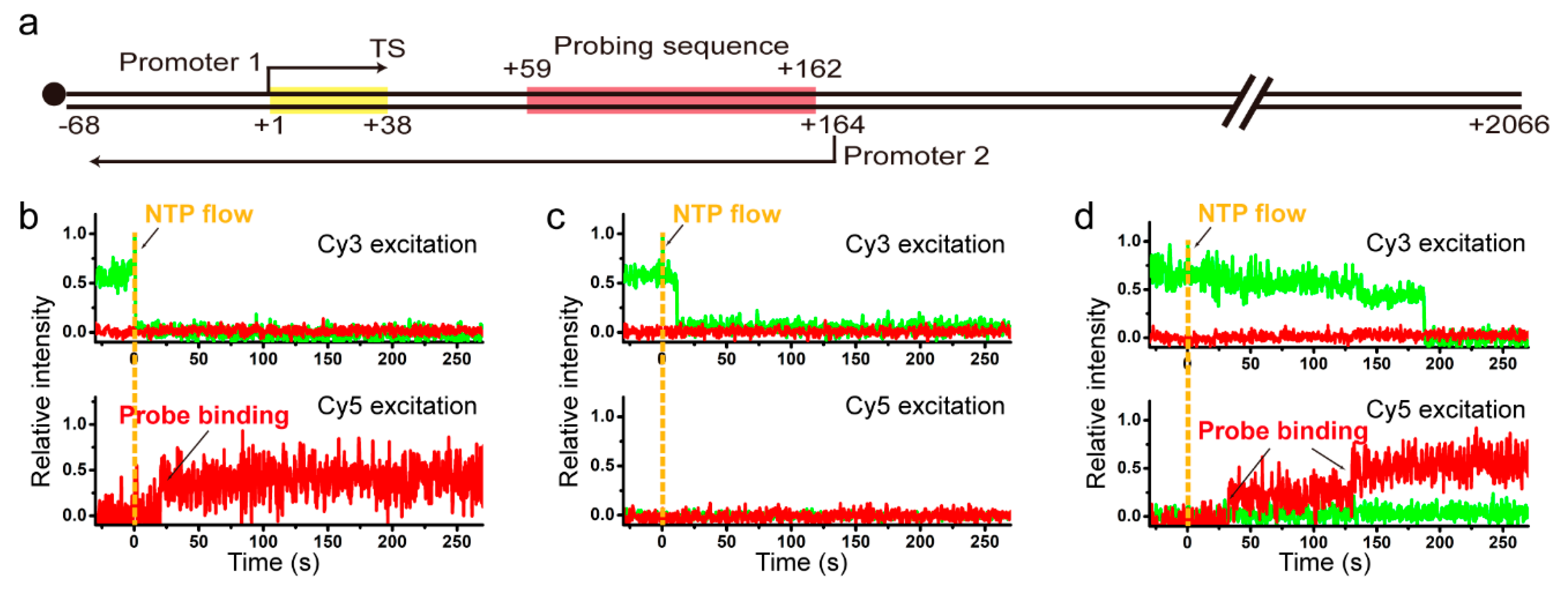 Ijms 22 02398 g003 Ijms 22 02398 g003