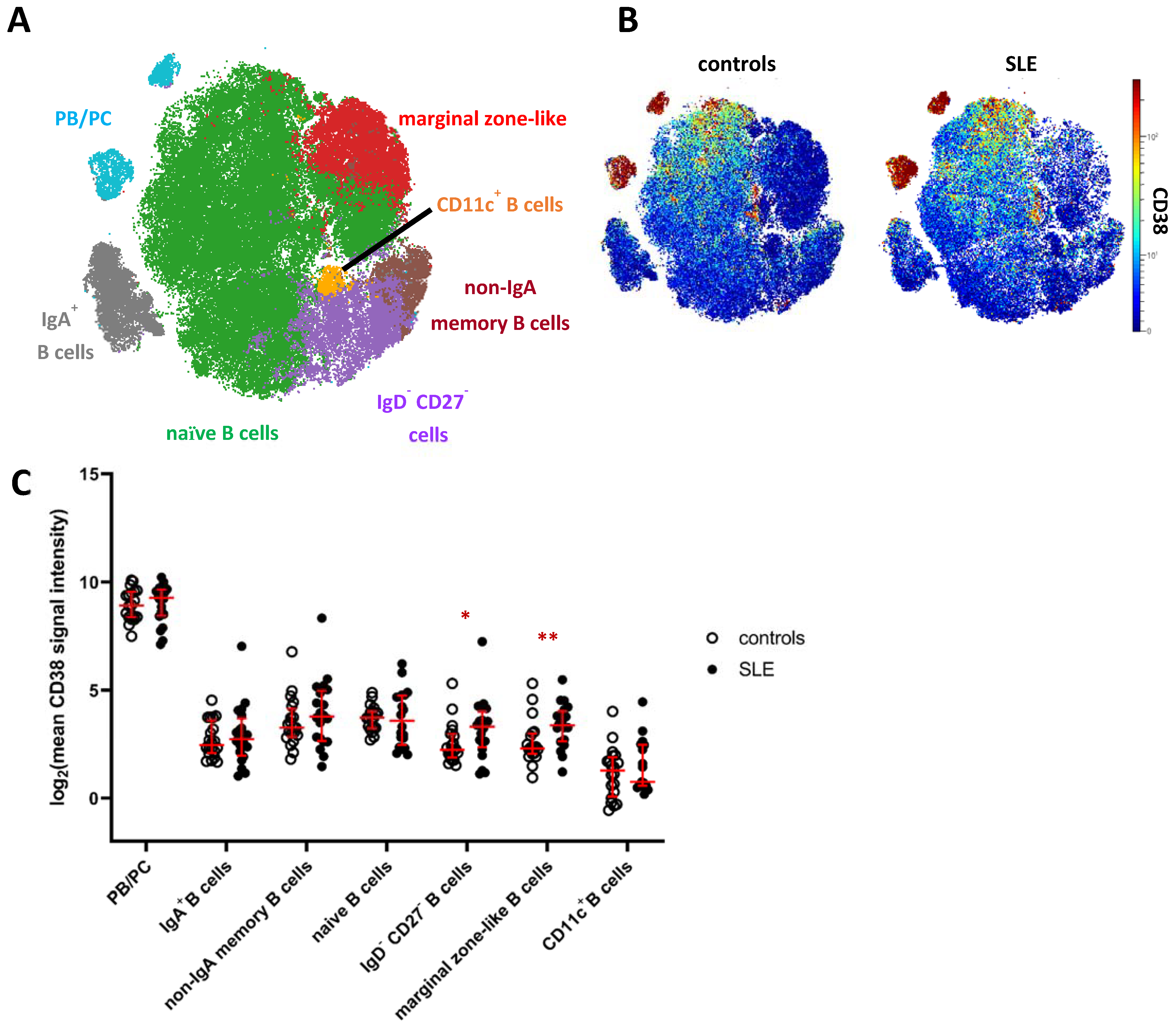 Ijms 22 02424 g002 Ijms 22 02424 g002