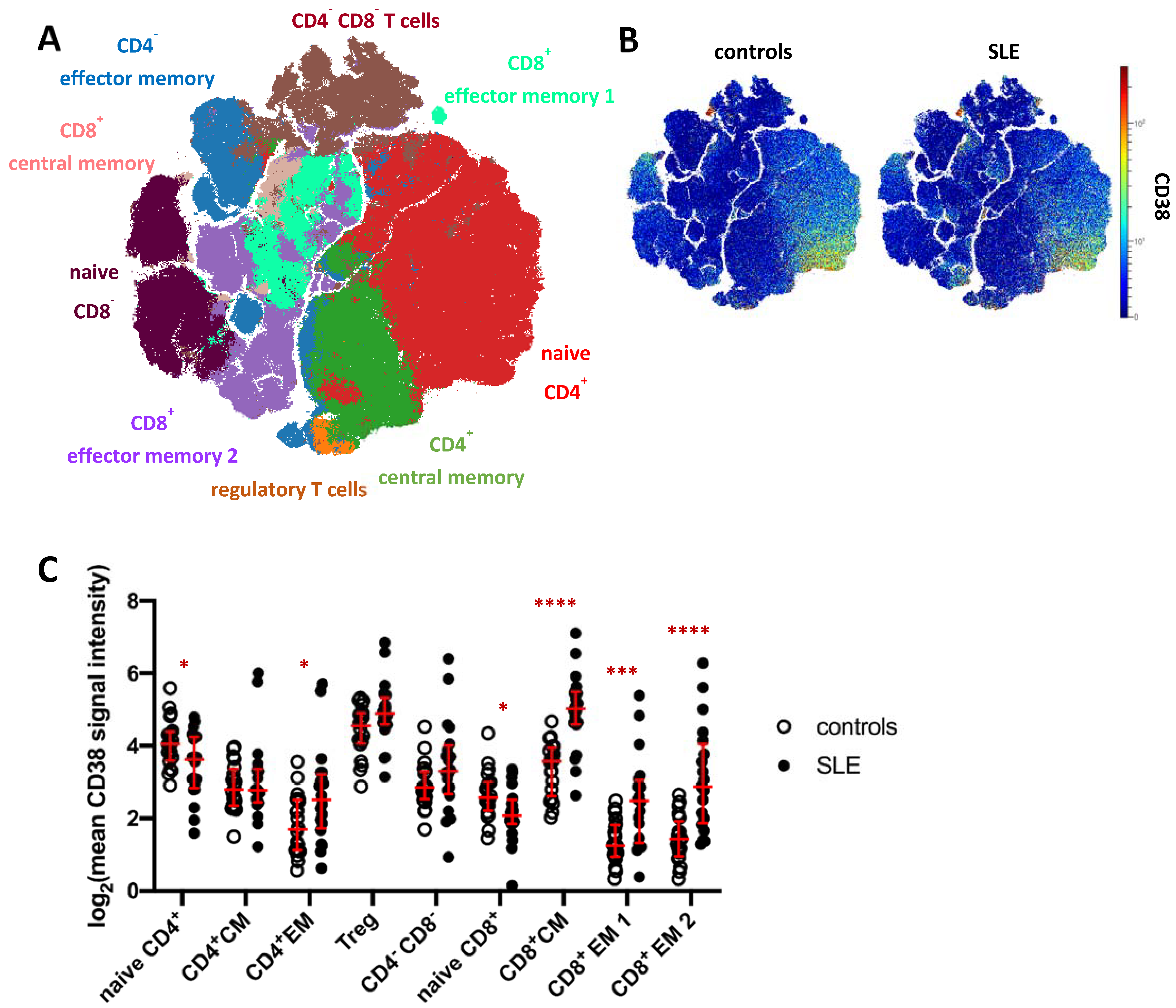 Ijms 22 02424 g003 Ijms 22 02424 g003