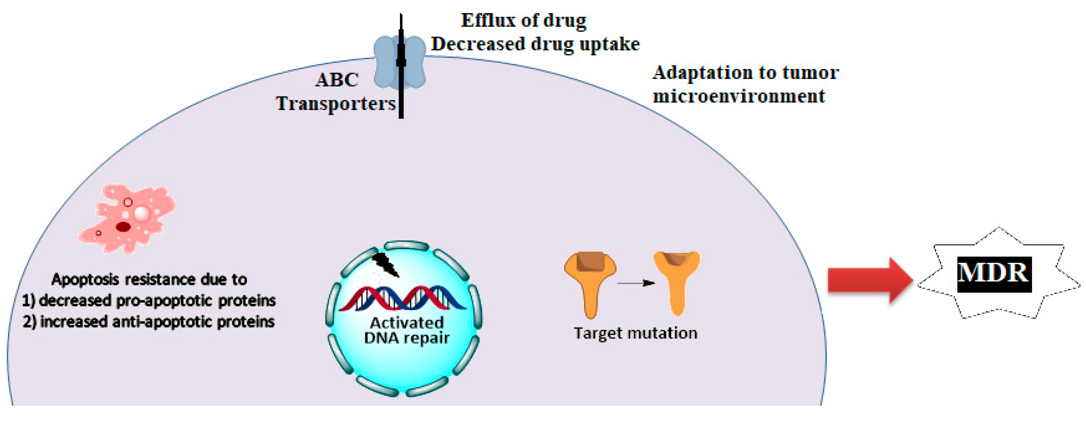 Ijms 22 02463 sch001