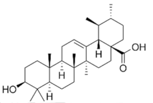 Ijms 22 02466 i001 Ijms 22 02466 i001