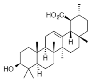 Ijms 22 02466 i003 Ijms 22 02466 i003