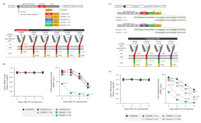 Ijms 22 02476 g001 Ijms 22 02476 g001