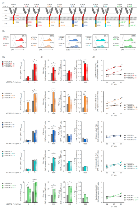 Ijms 22 02476 g004 Ijms 22 02476 g004