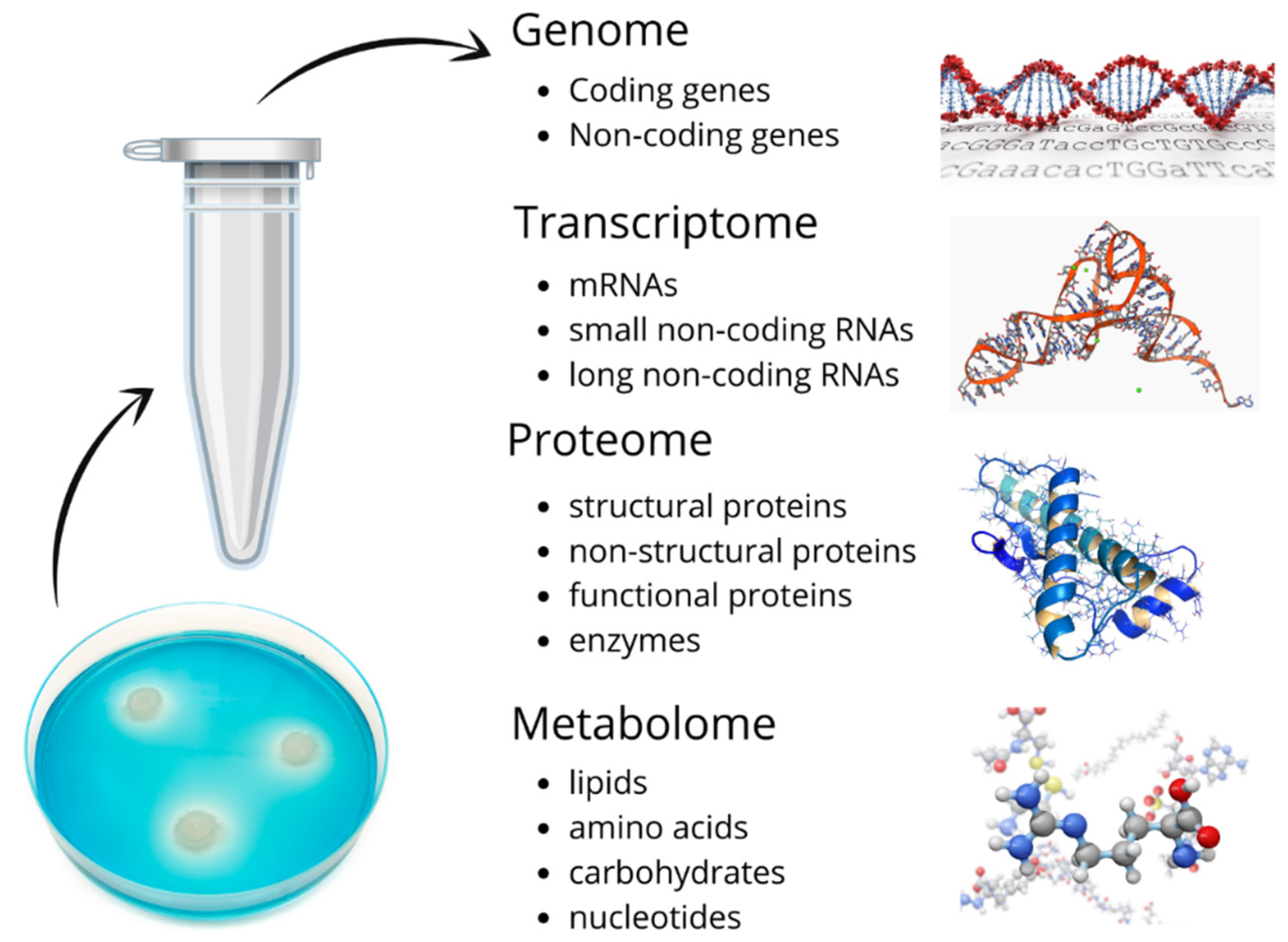 Ijms 22 02513 g001 Ijms 22 02513 g001