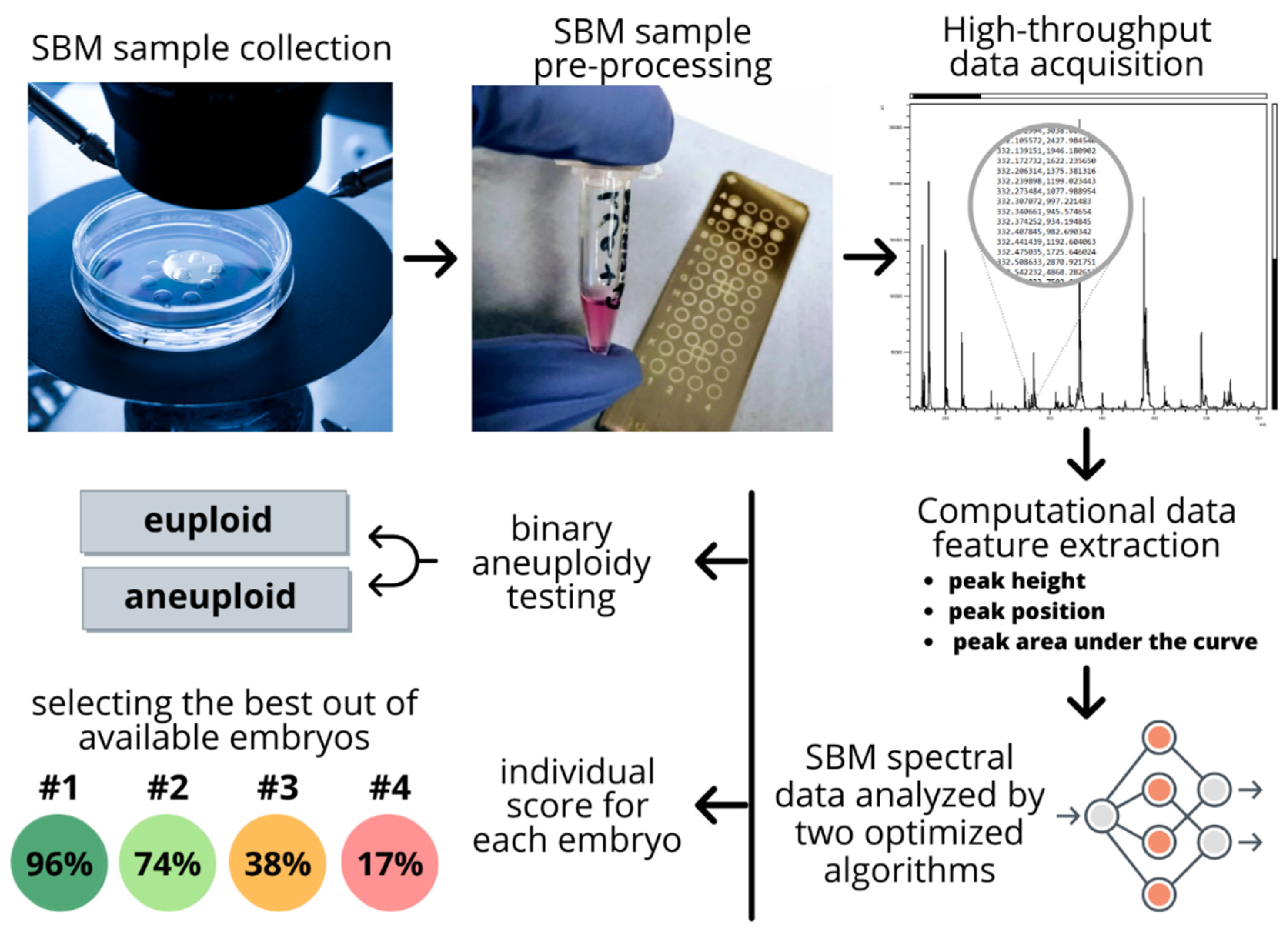 Ijms 22 02513 g002 Ijms 22 02513 g002