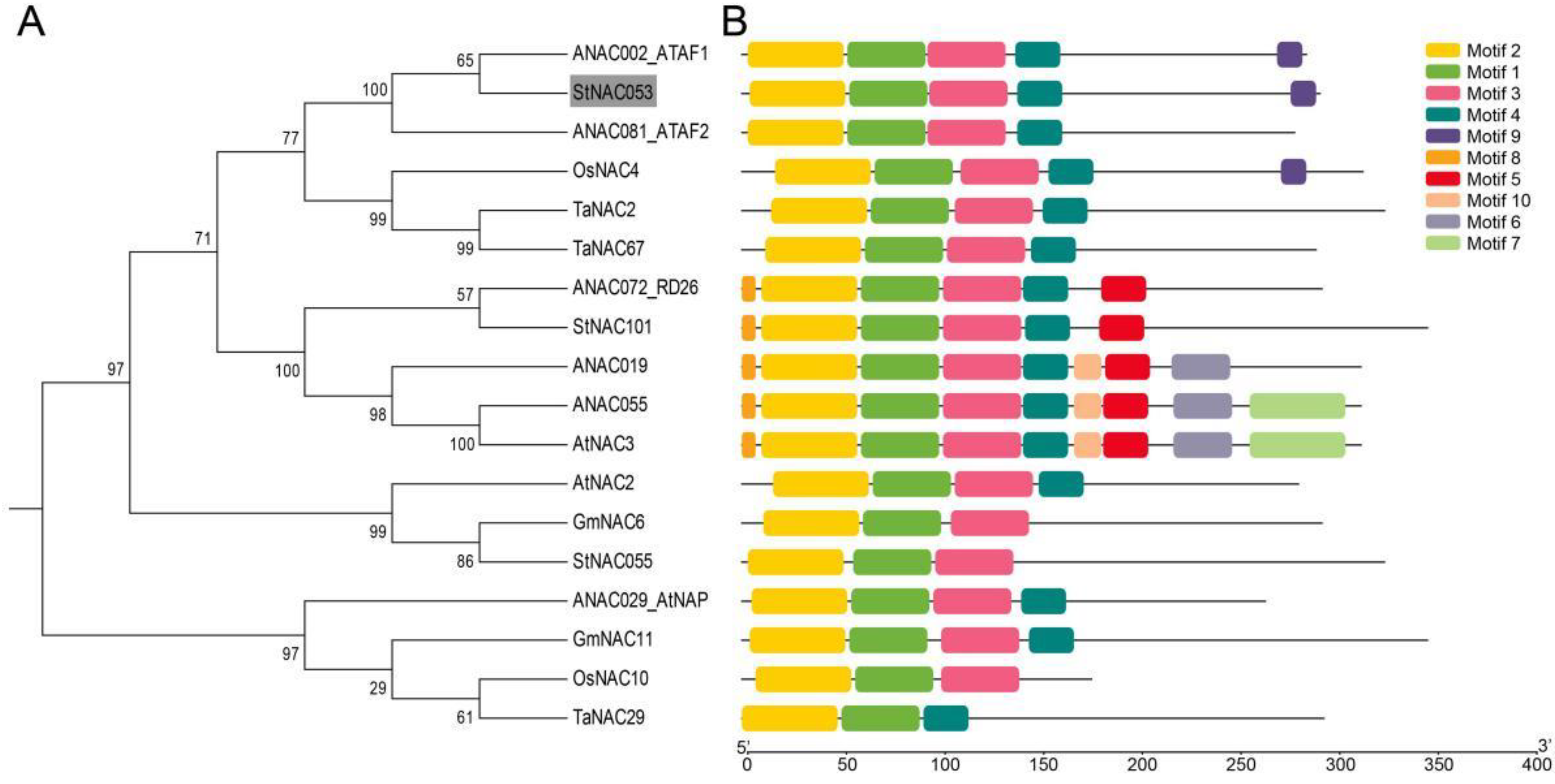 Ijms 22 02568 g002 Ijms 22 02568 g002