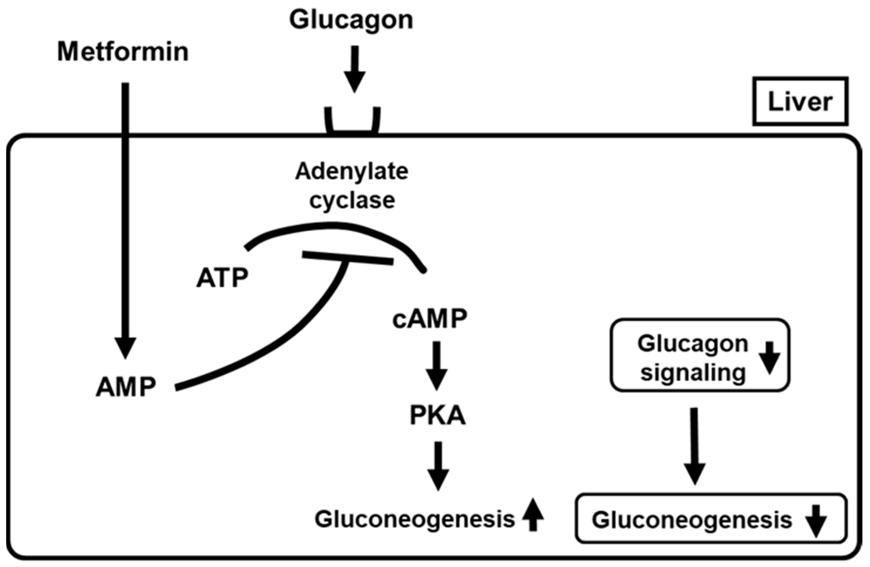 Ijms 22 02596 g002 Ijms 22 02596 g002