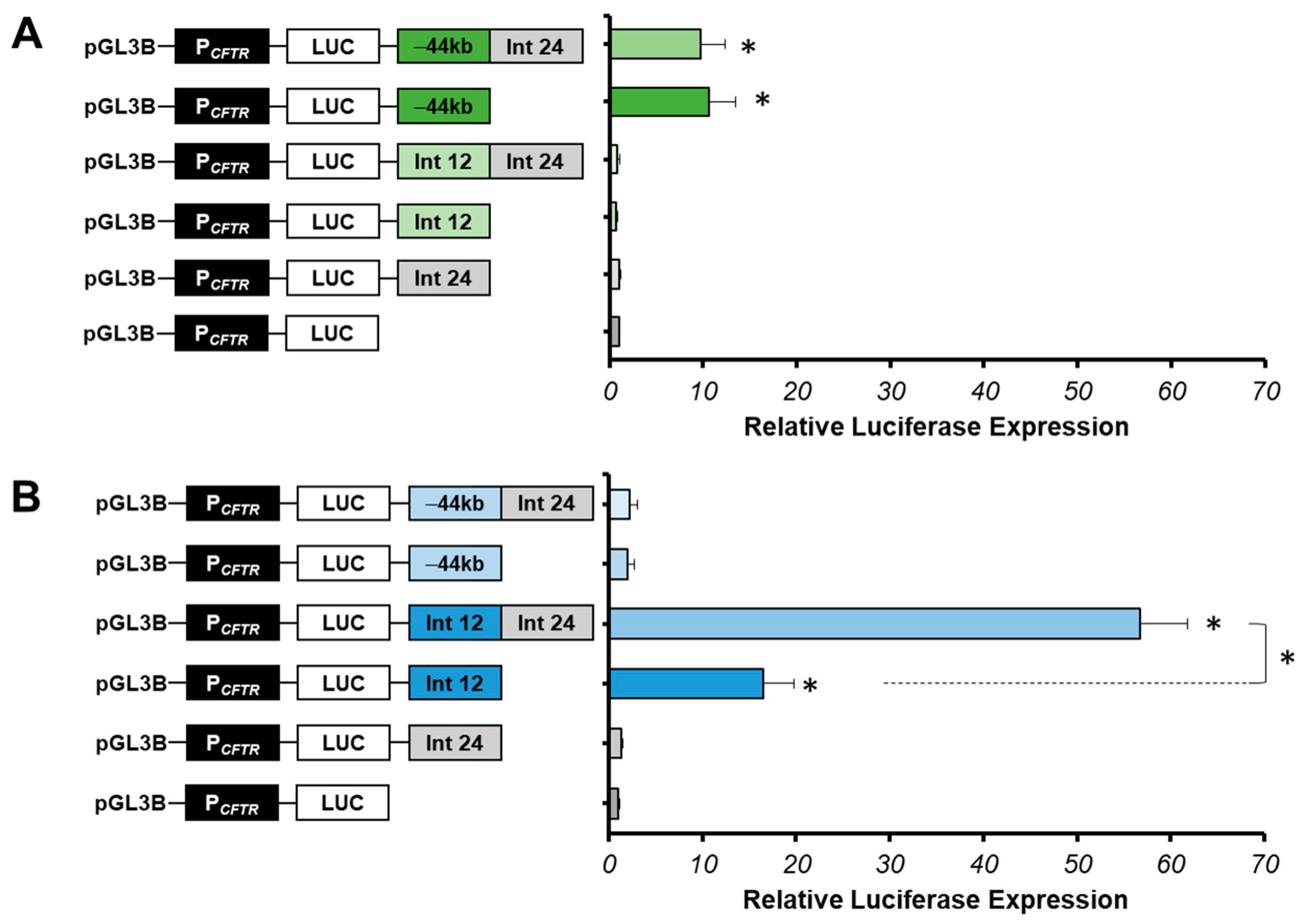 Ijms 22 02599 g003 Ijms 22 02599 g003