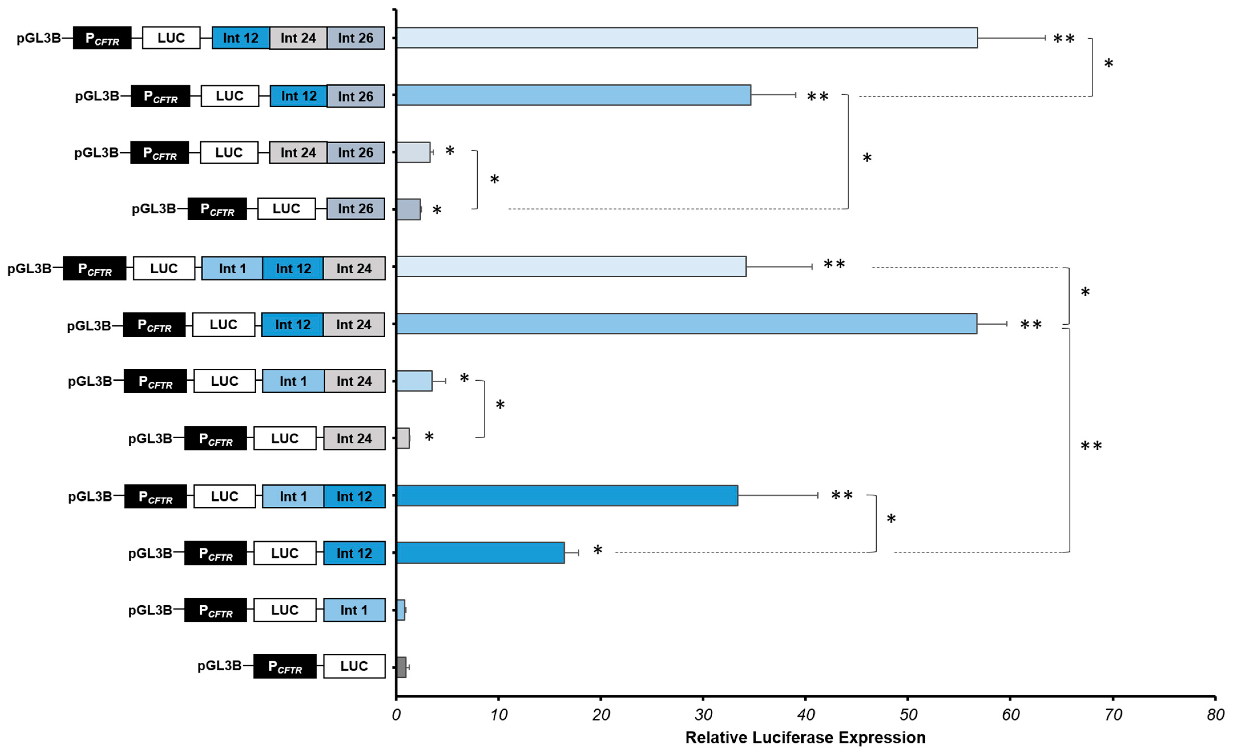 Ijms 22 02599 g004 Ijms 22 02599 g004