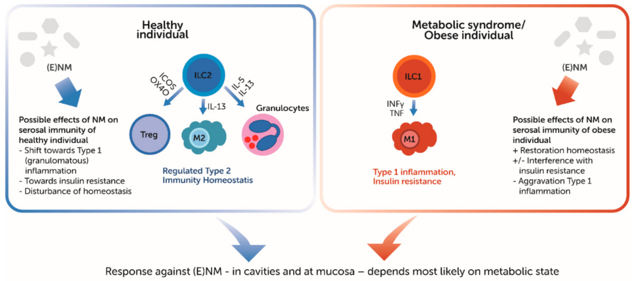 Ijms 22 02610 g002 Ijms 22 02610 g002